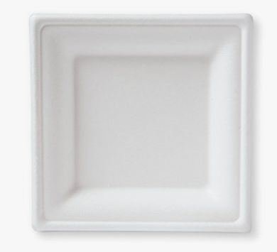 E - EcoWare Compostable Plate Square 16cm (Qty 50) BSP16