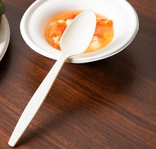 Cutlery Compostable Spoon (Qty 100) CUTS