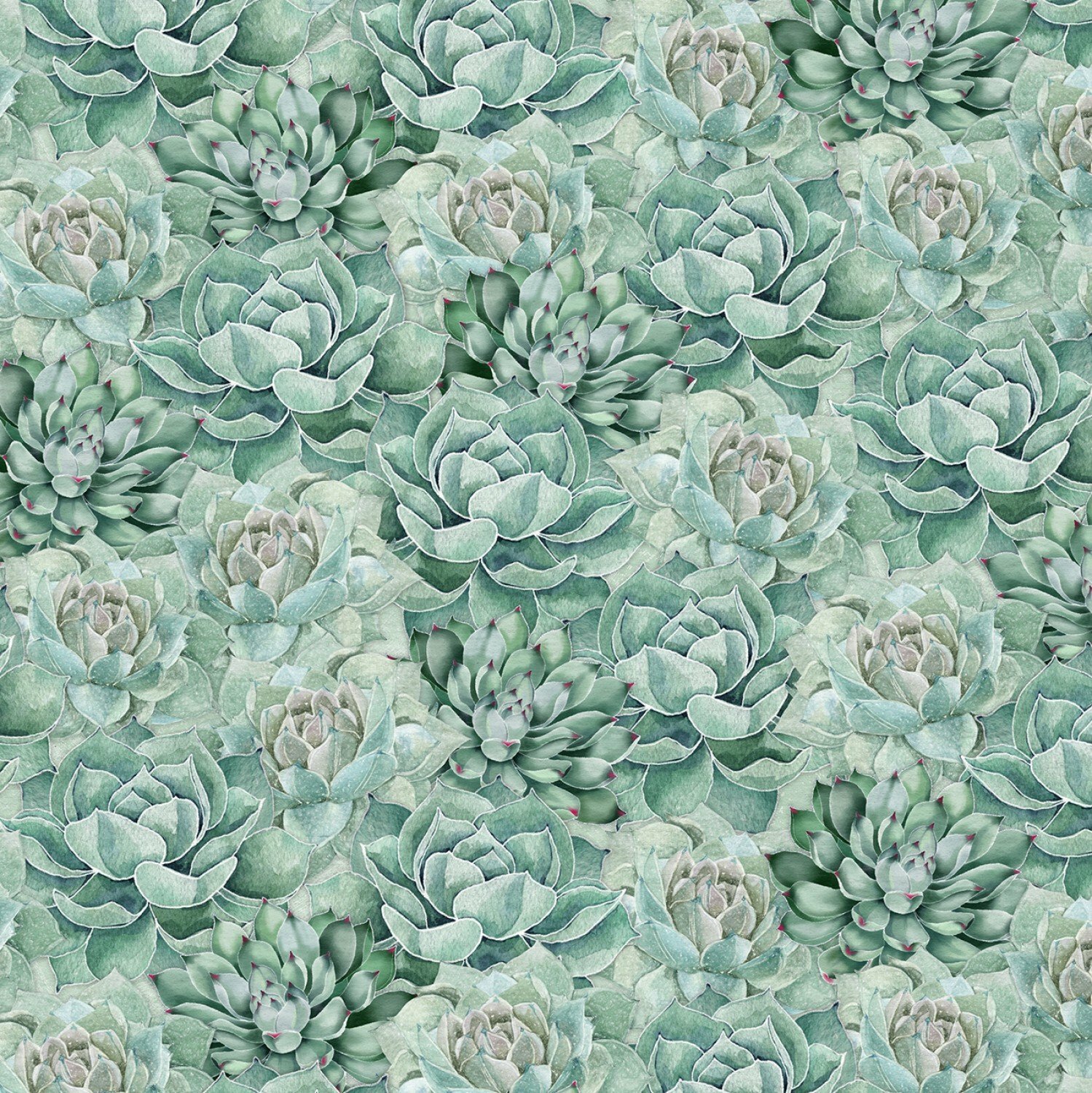 Green Succulents- Botanical Oasis by Wilmington Fabrics L653GX4Q