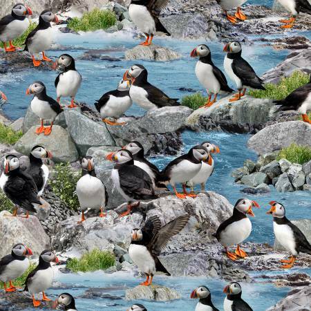 Blue Puffin - Elizabeth Studio 99ZTLGBB