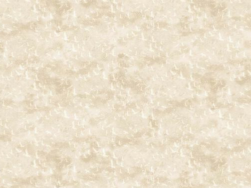 Cream Birds - Northcott Fabrics JY4LWWBH