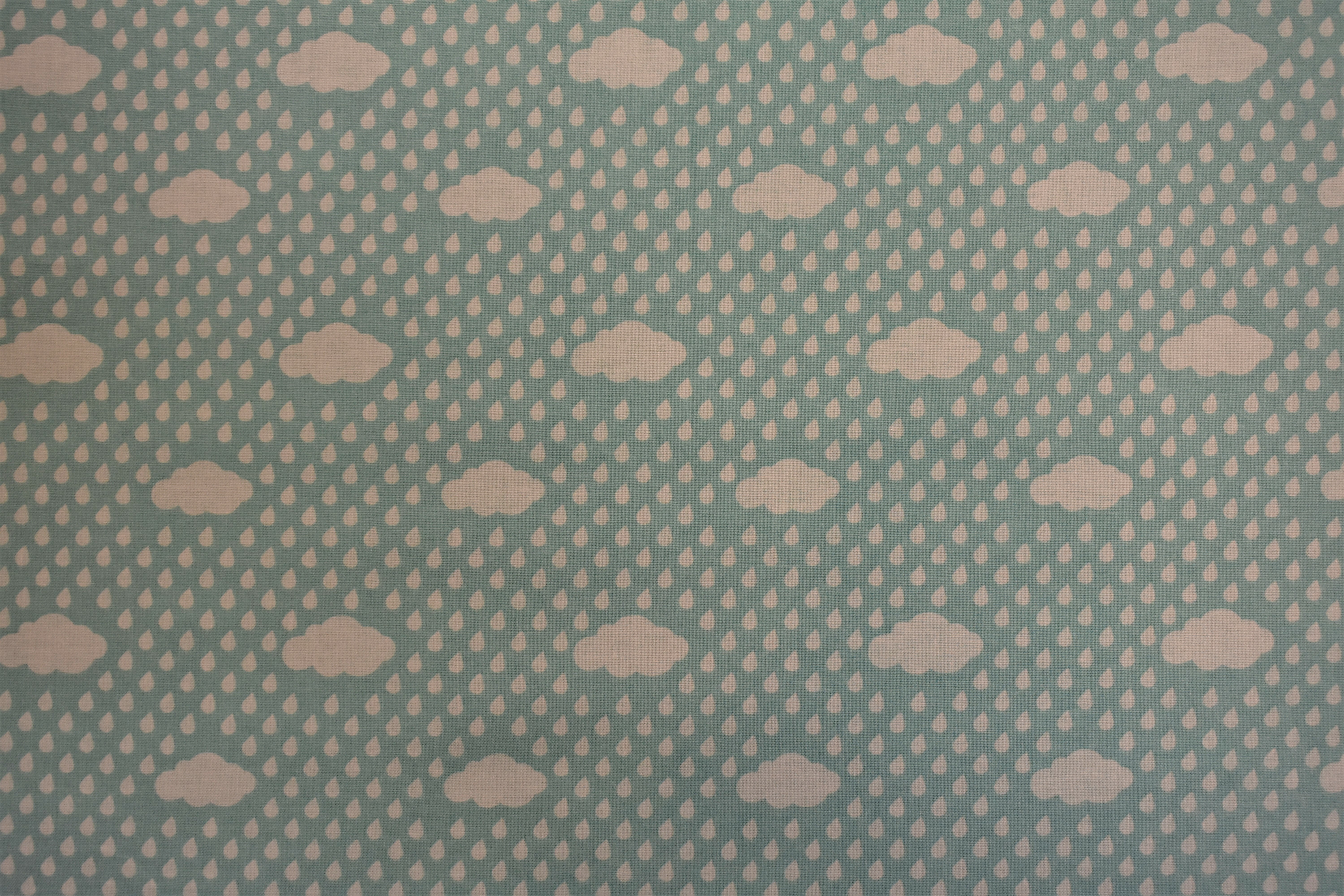Blue Clouds & Rain - Bloom Where You're Planted - Riley Blake Designs T71H457V