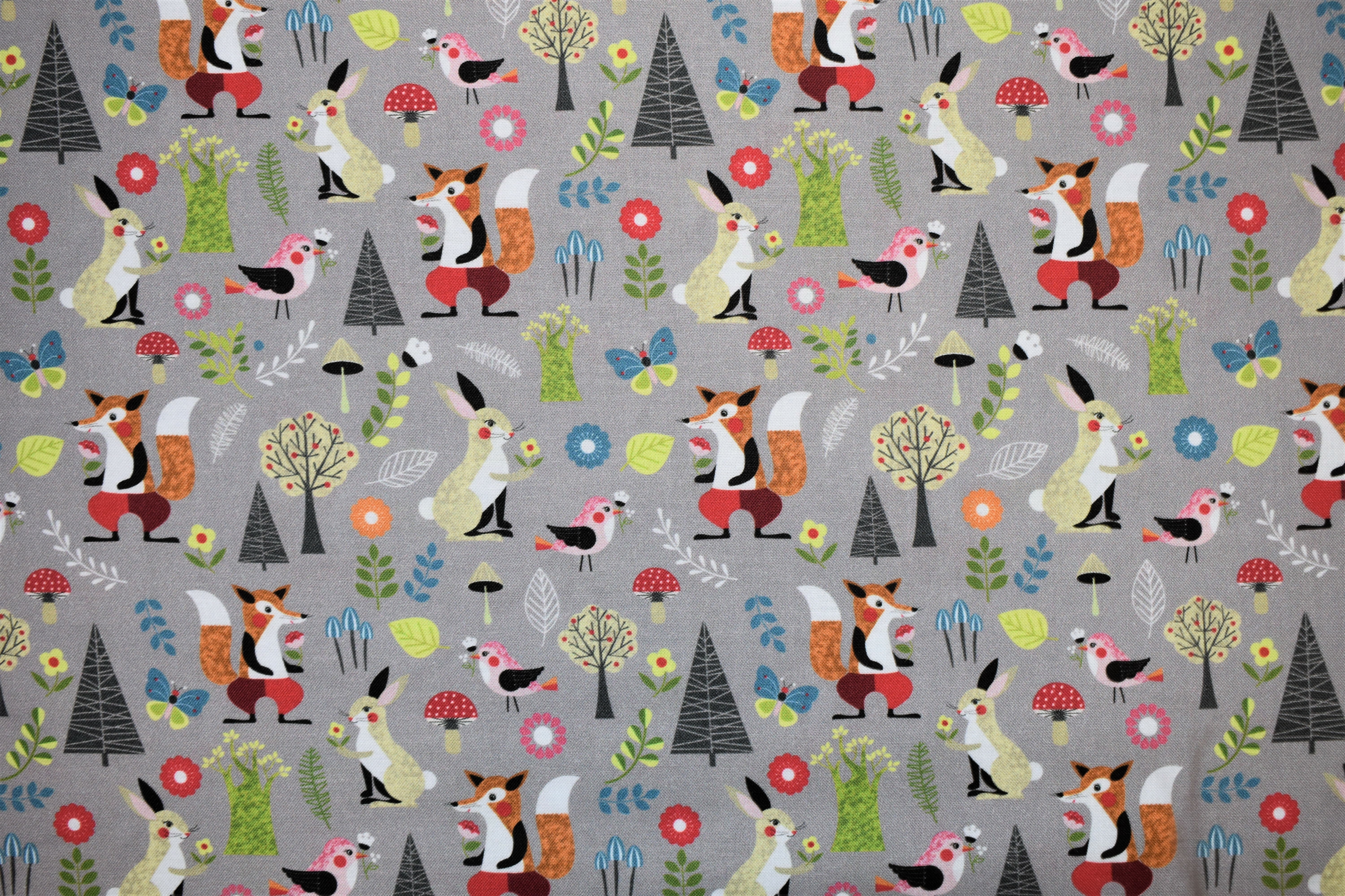 Willow Scenic - Nutex 6AV75QTX