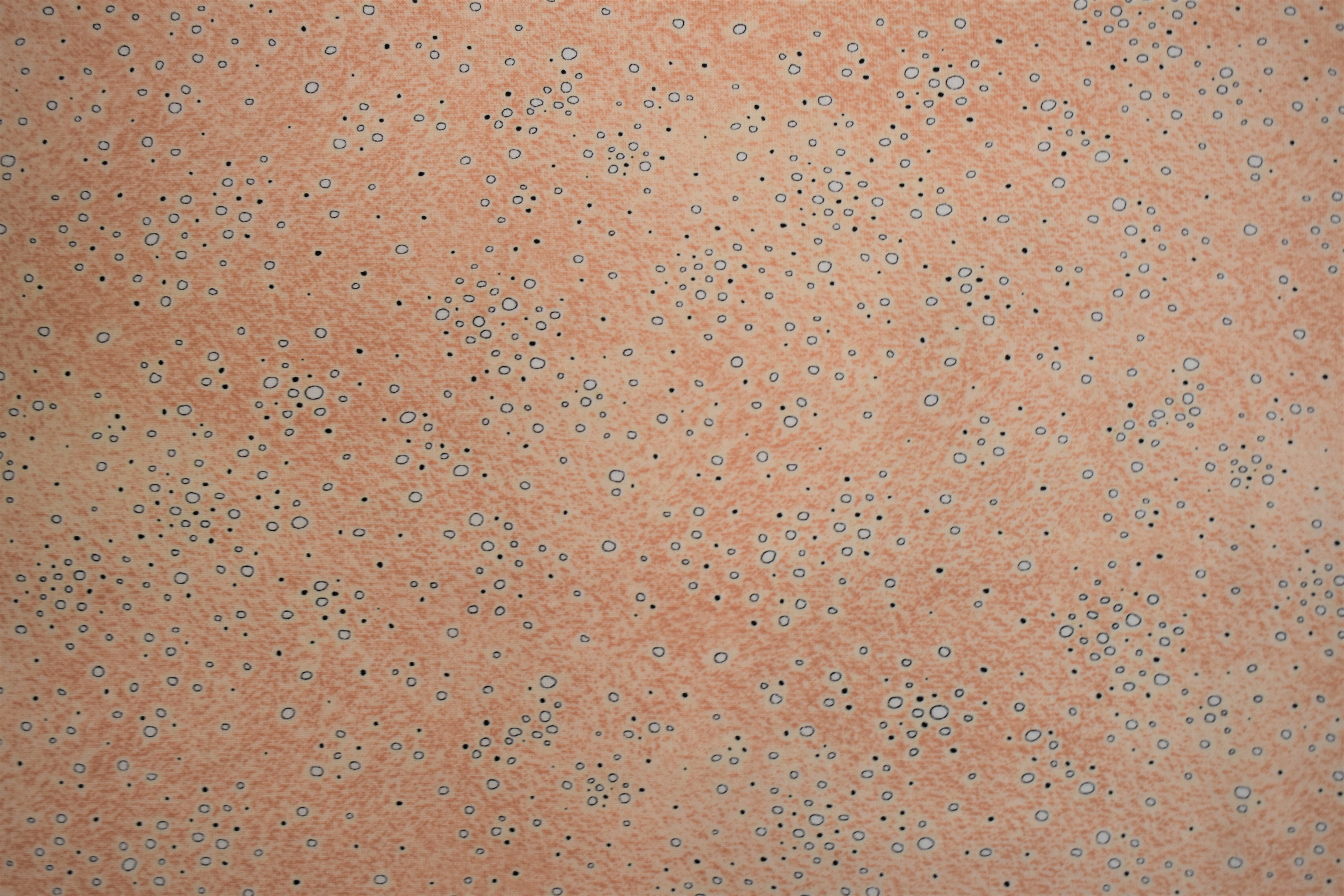 Dino-Mite Orange Circles - Quilting Treasures AUEP1ZM7