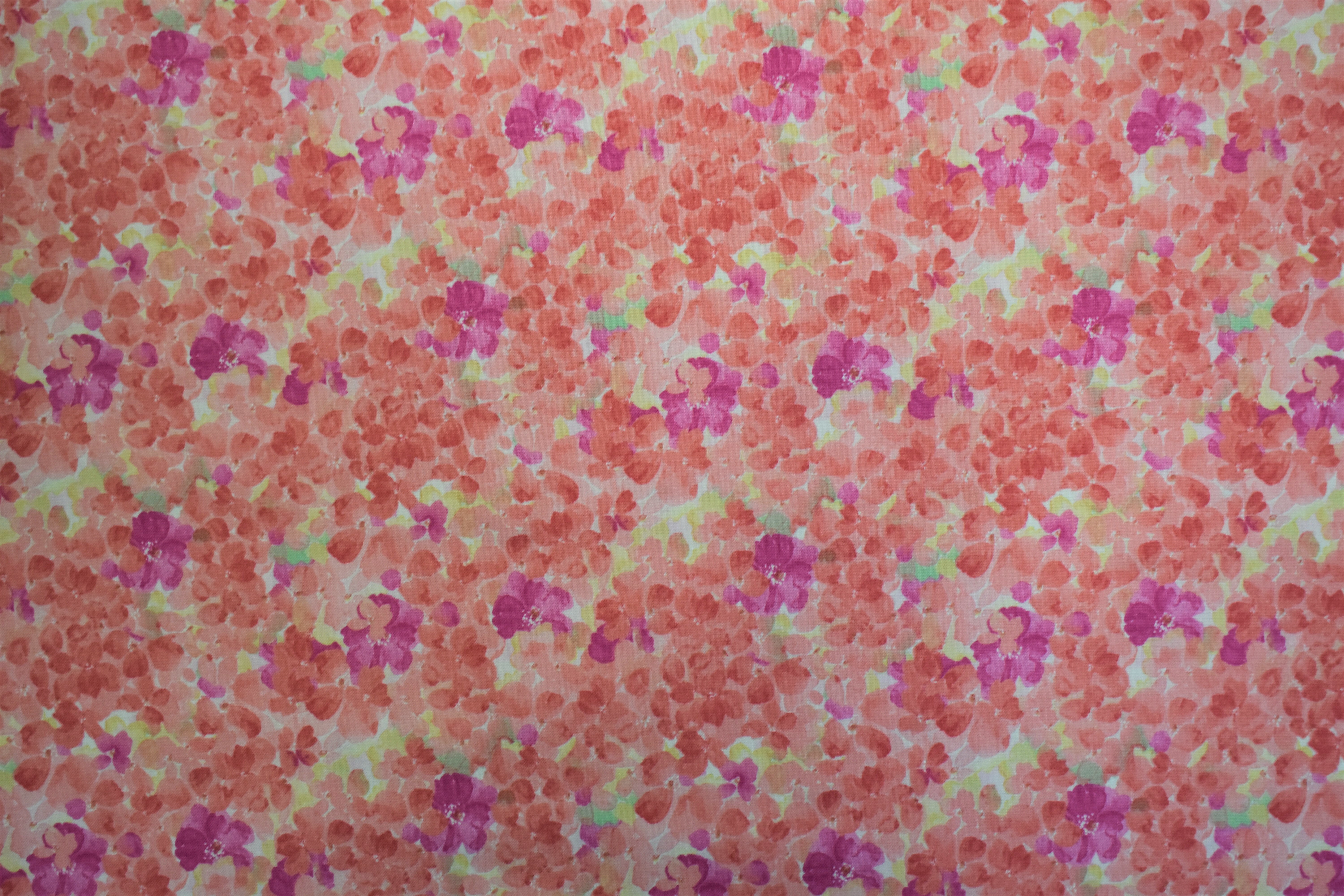 Sun Kissed Small Pink Flowers - Quilting Treasures KFRD1Y56