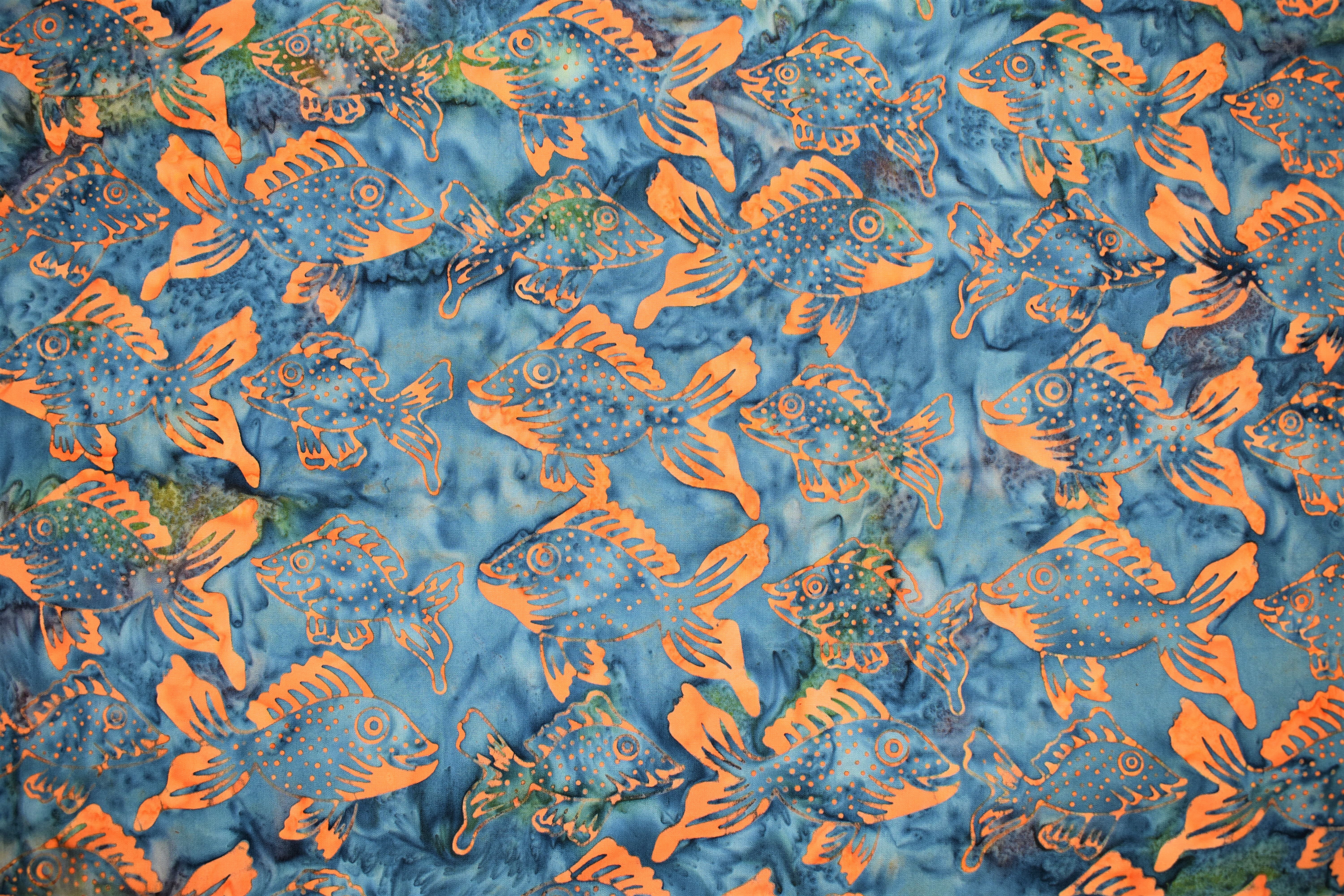 Blue with Orange Fish XKM8GLF5