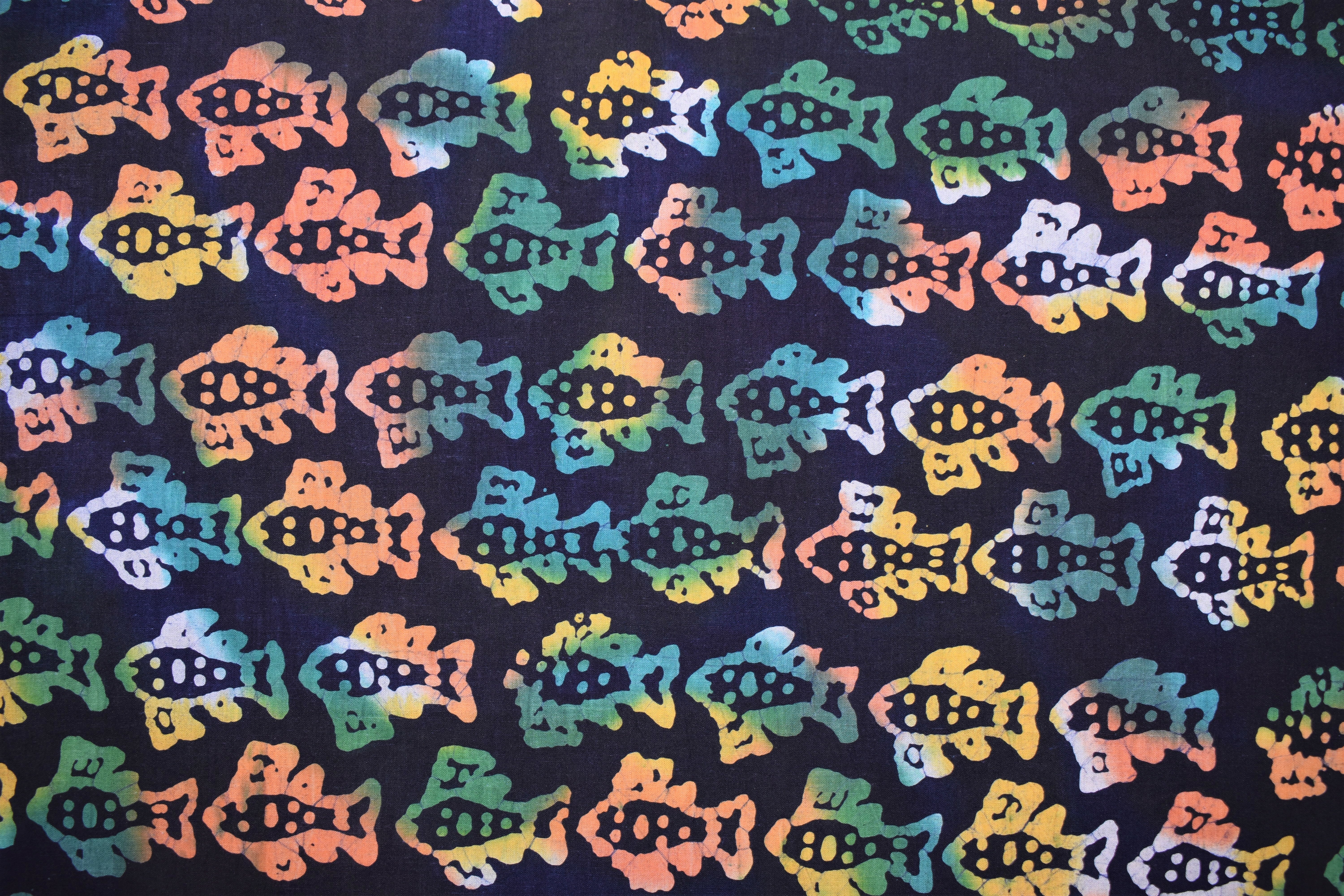 Small Colorful Fish CAQF3JHF