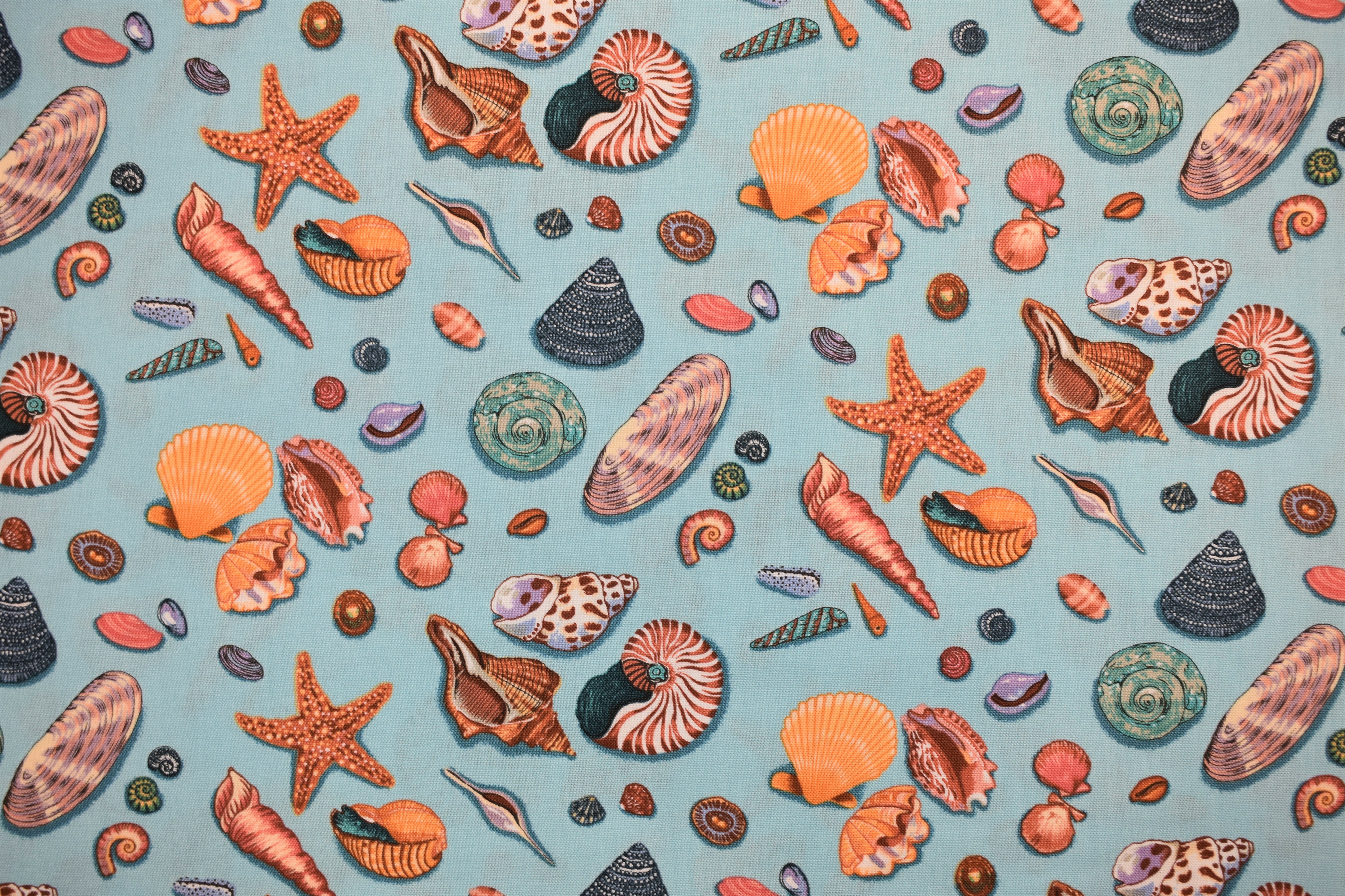 By the Sea - Shells - Nutex 54988