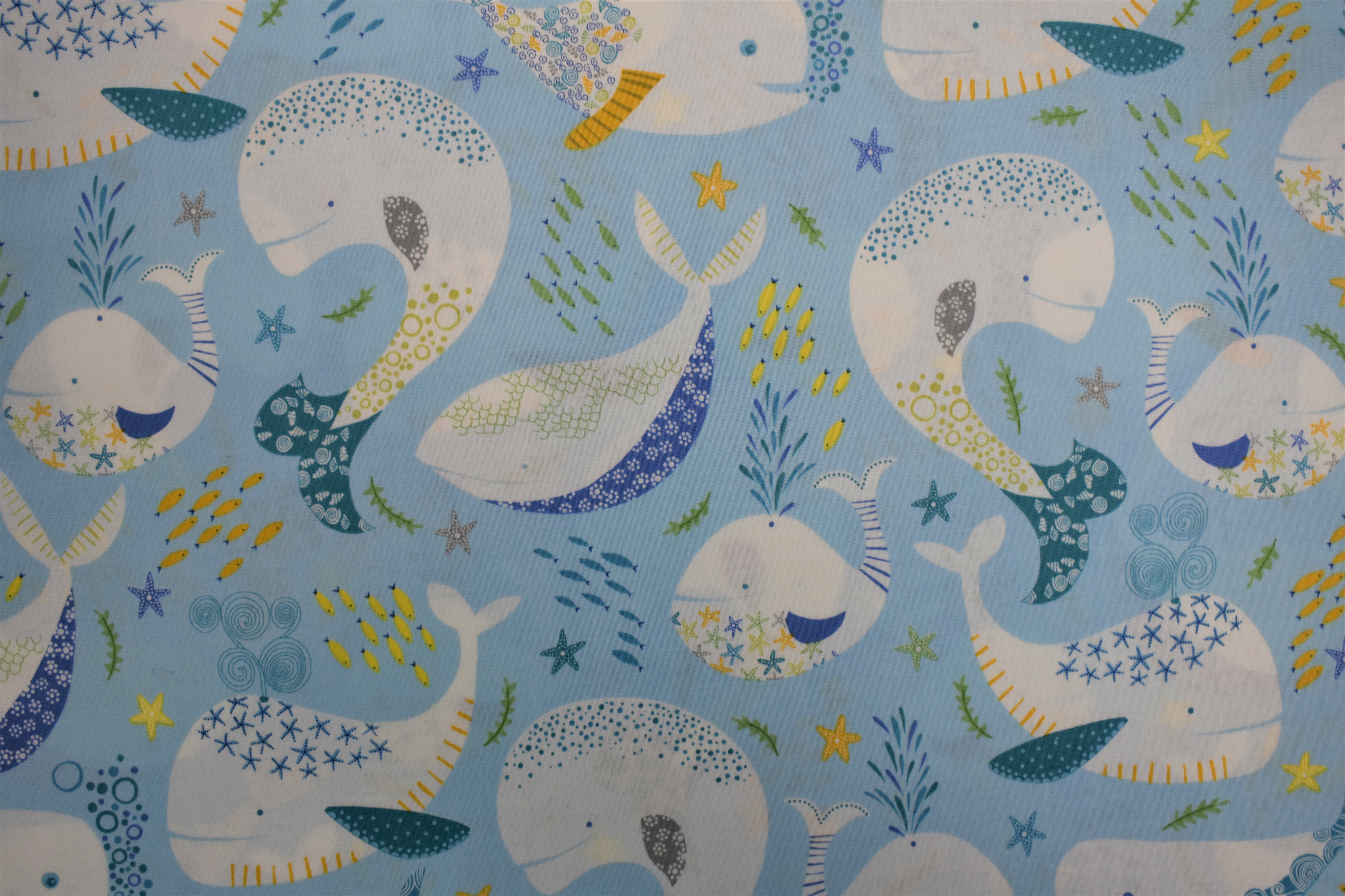 Little Squirt - Large Whales - Quilting Treasures 54985