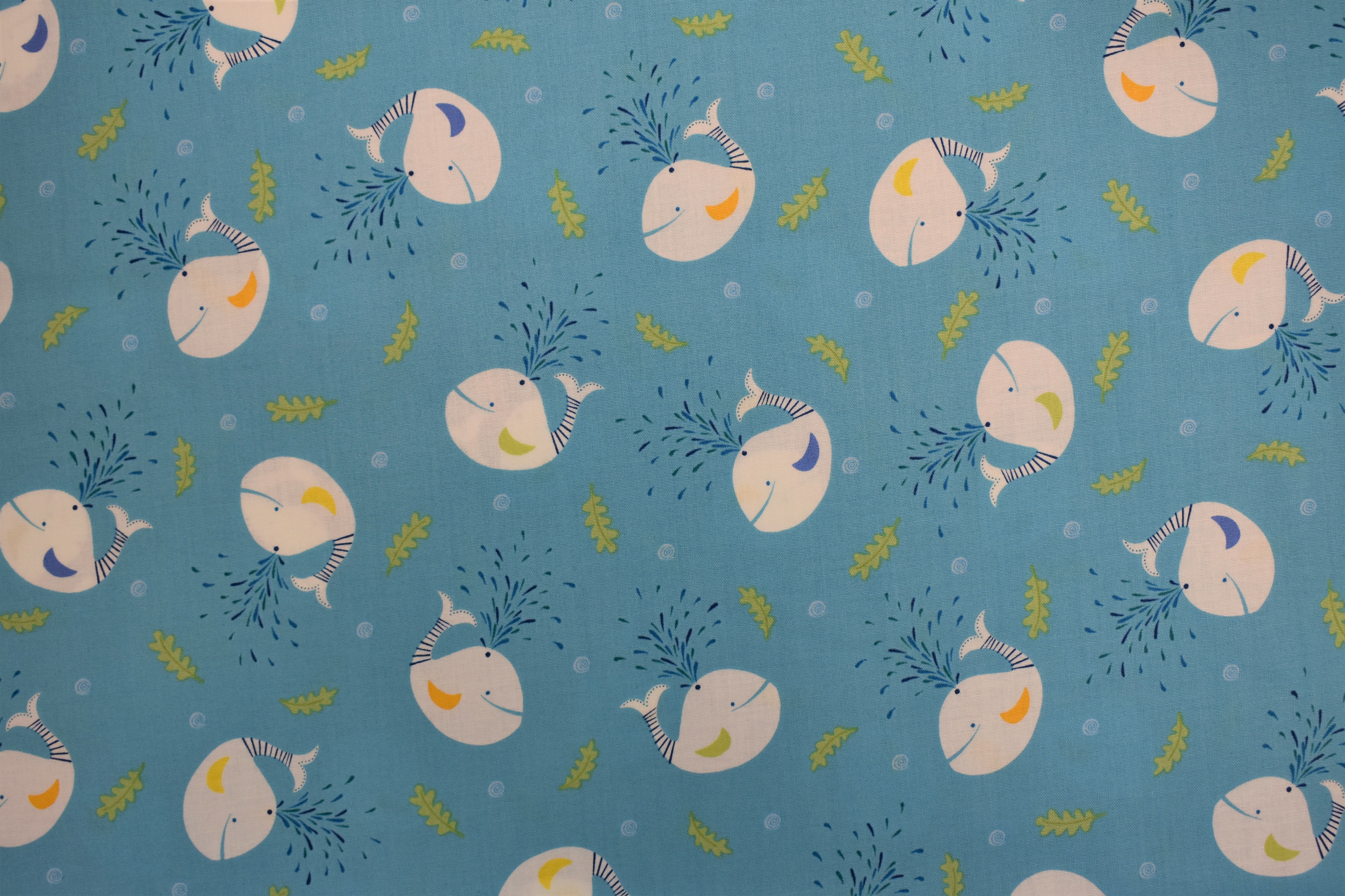 Little Squirt - Small Whales - Quilting Treasures 54986