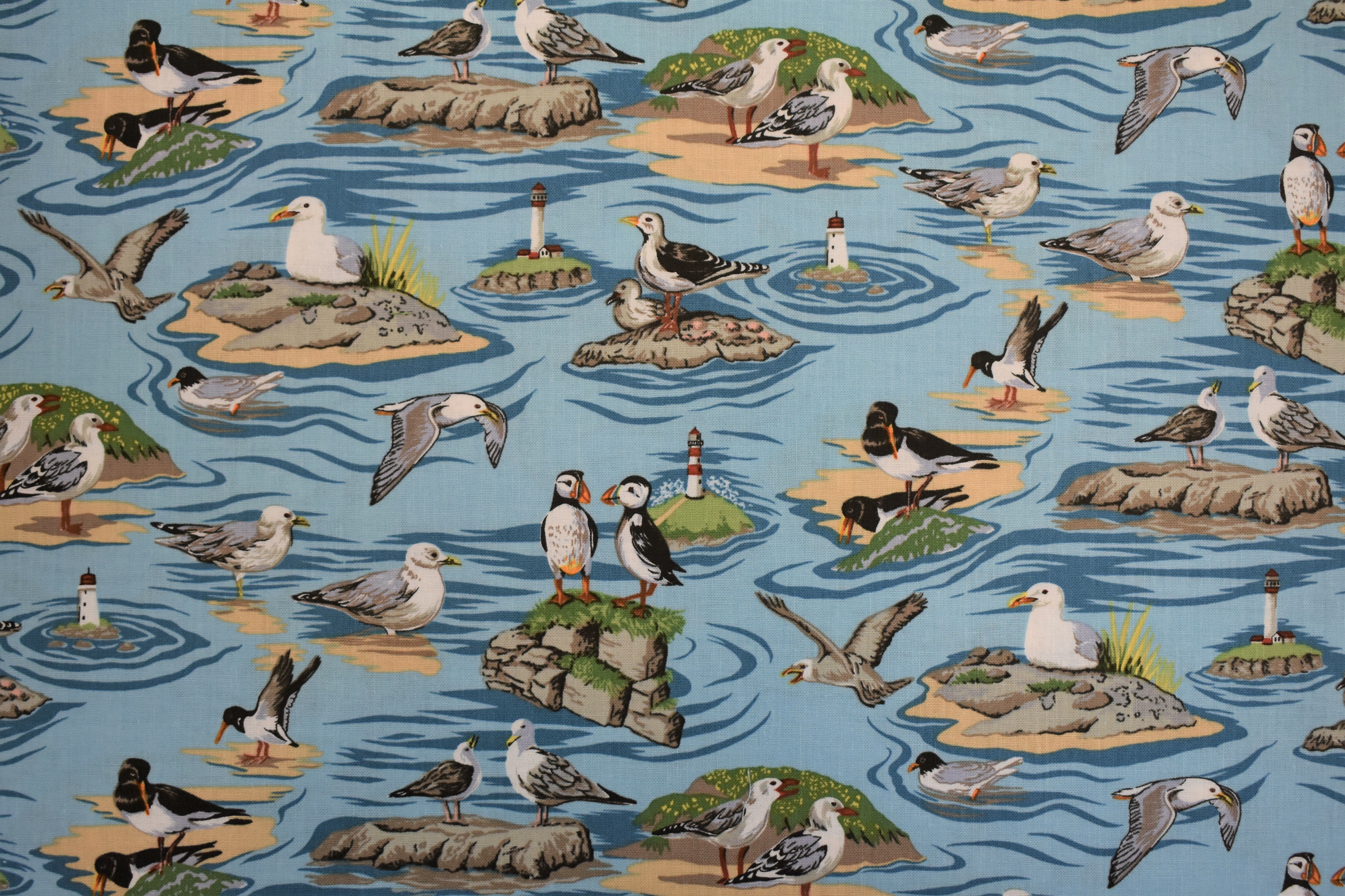 By the Sea - Birds - Nutex 54990