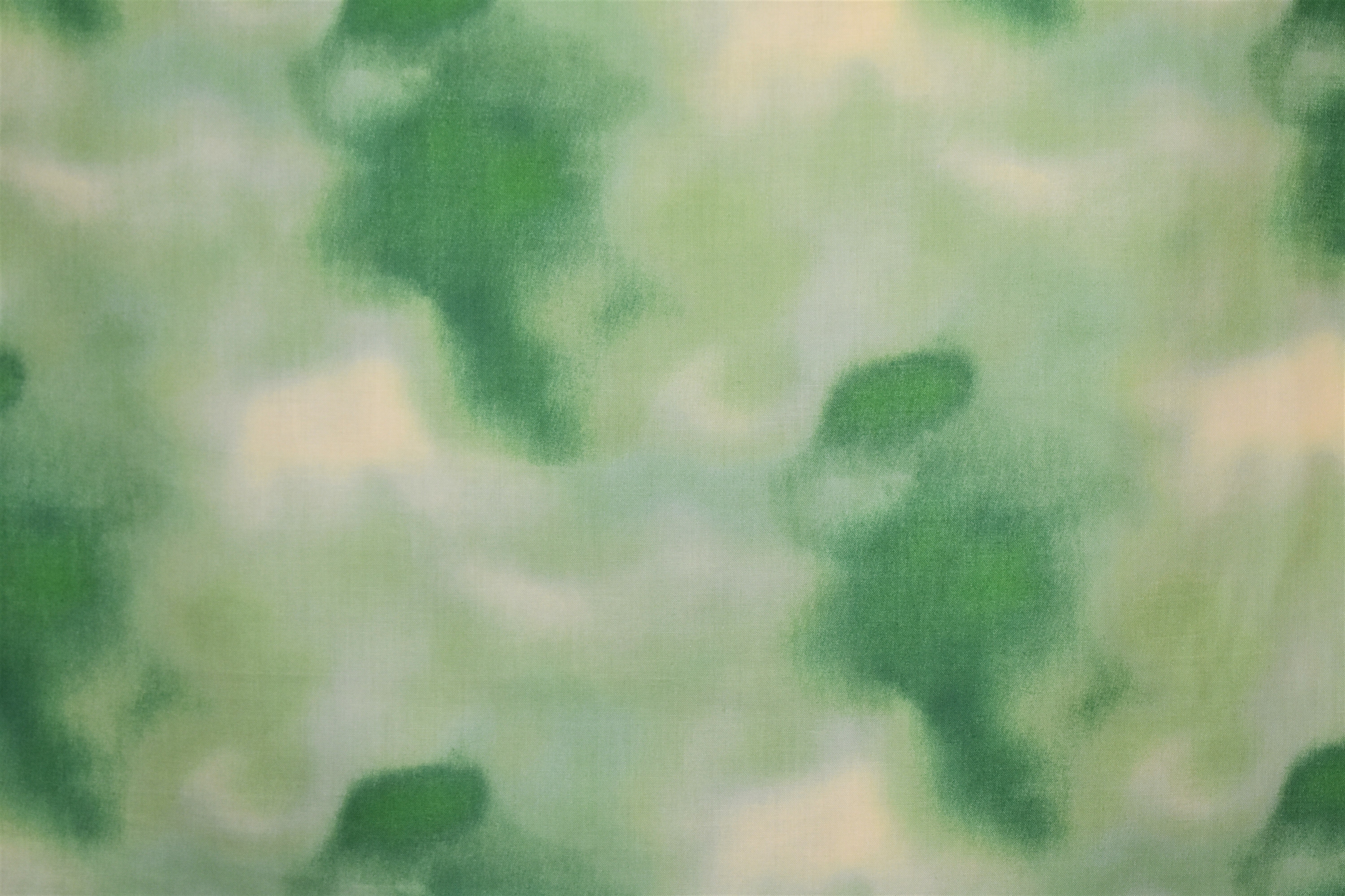 Green - Quilting Treasures 55005