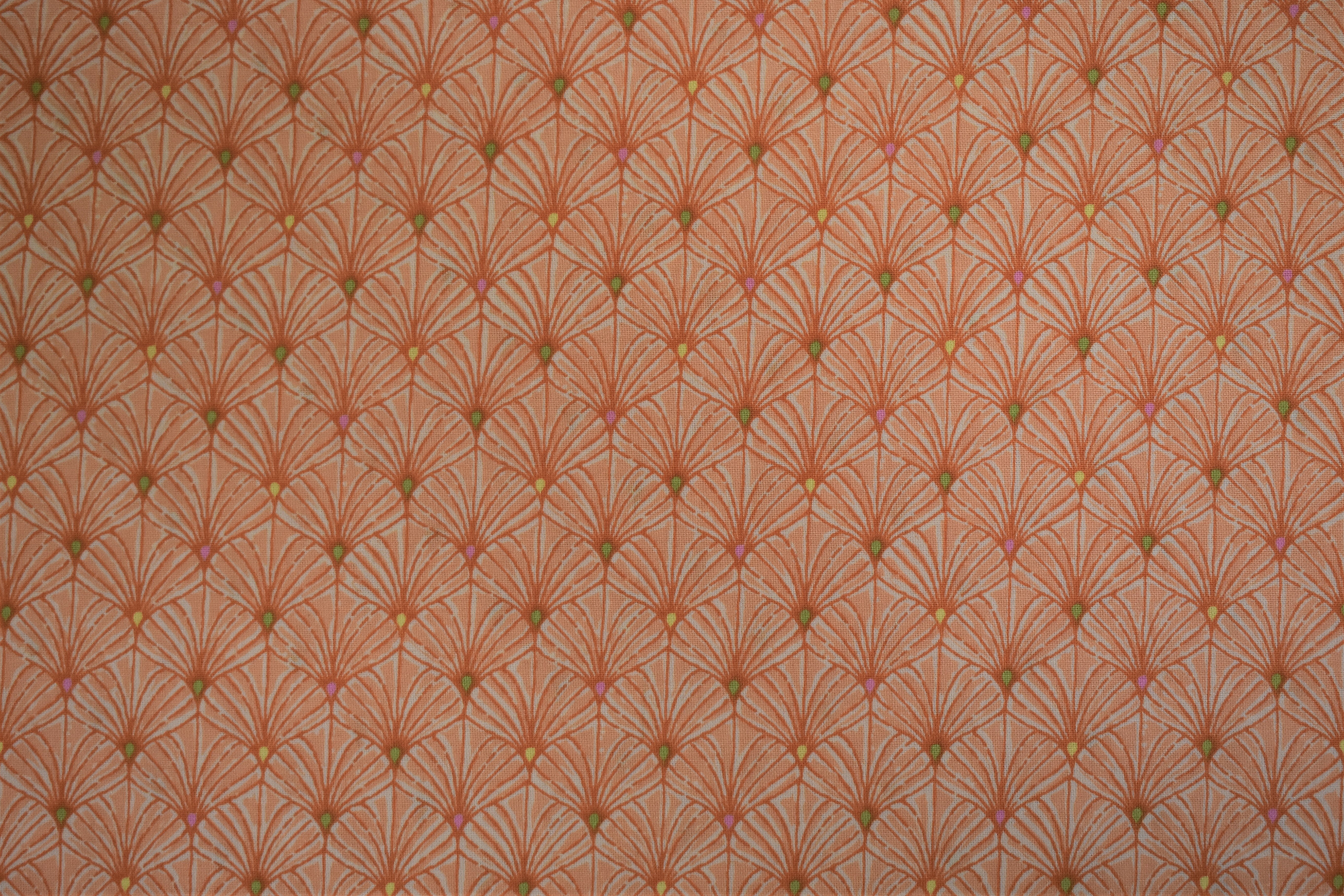 Orange Shell Scallop - Ink & Arrows 55012