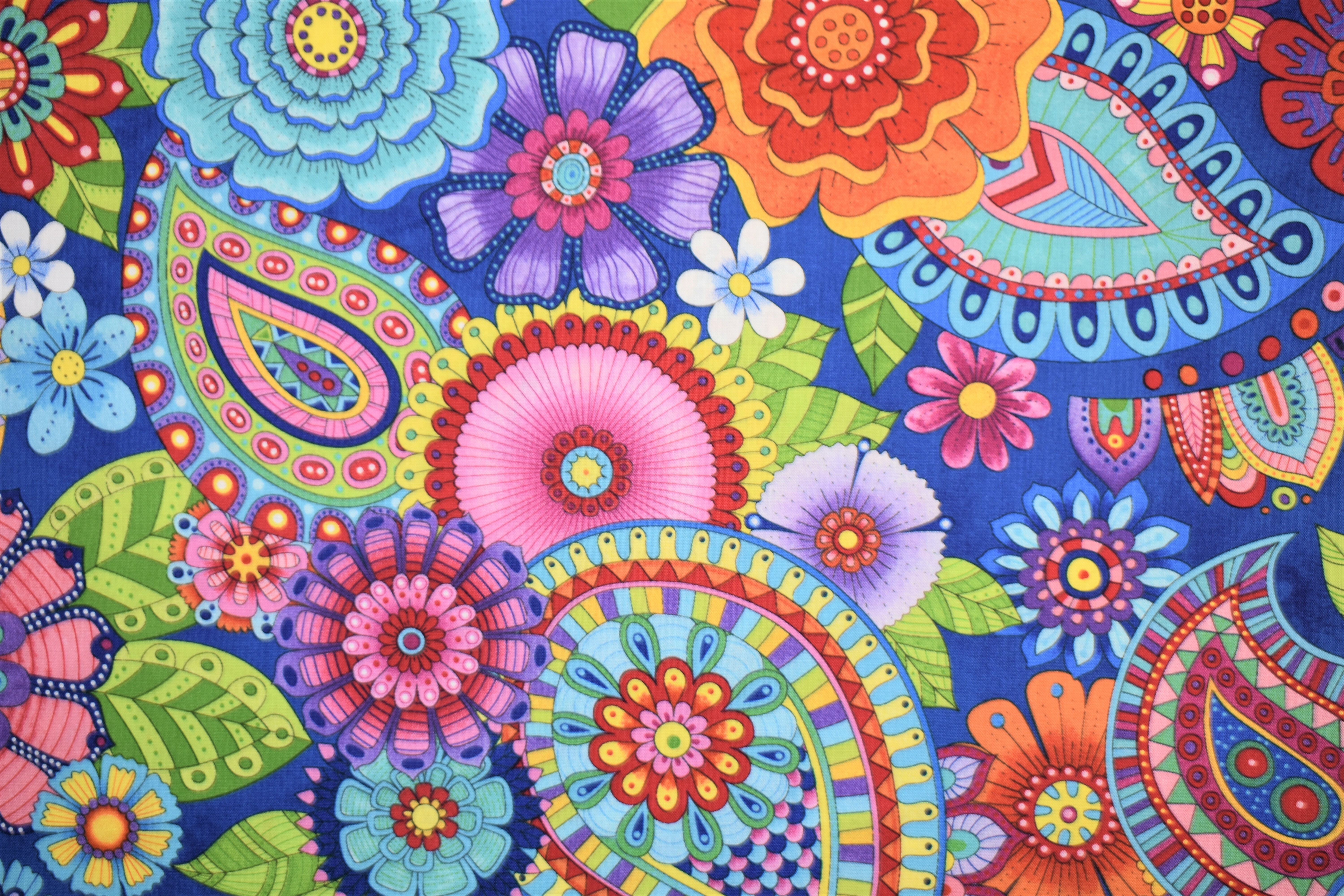 Live Out Loud - Large Paisley/Flowers - Wilmington Prints 55004