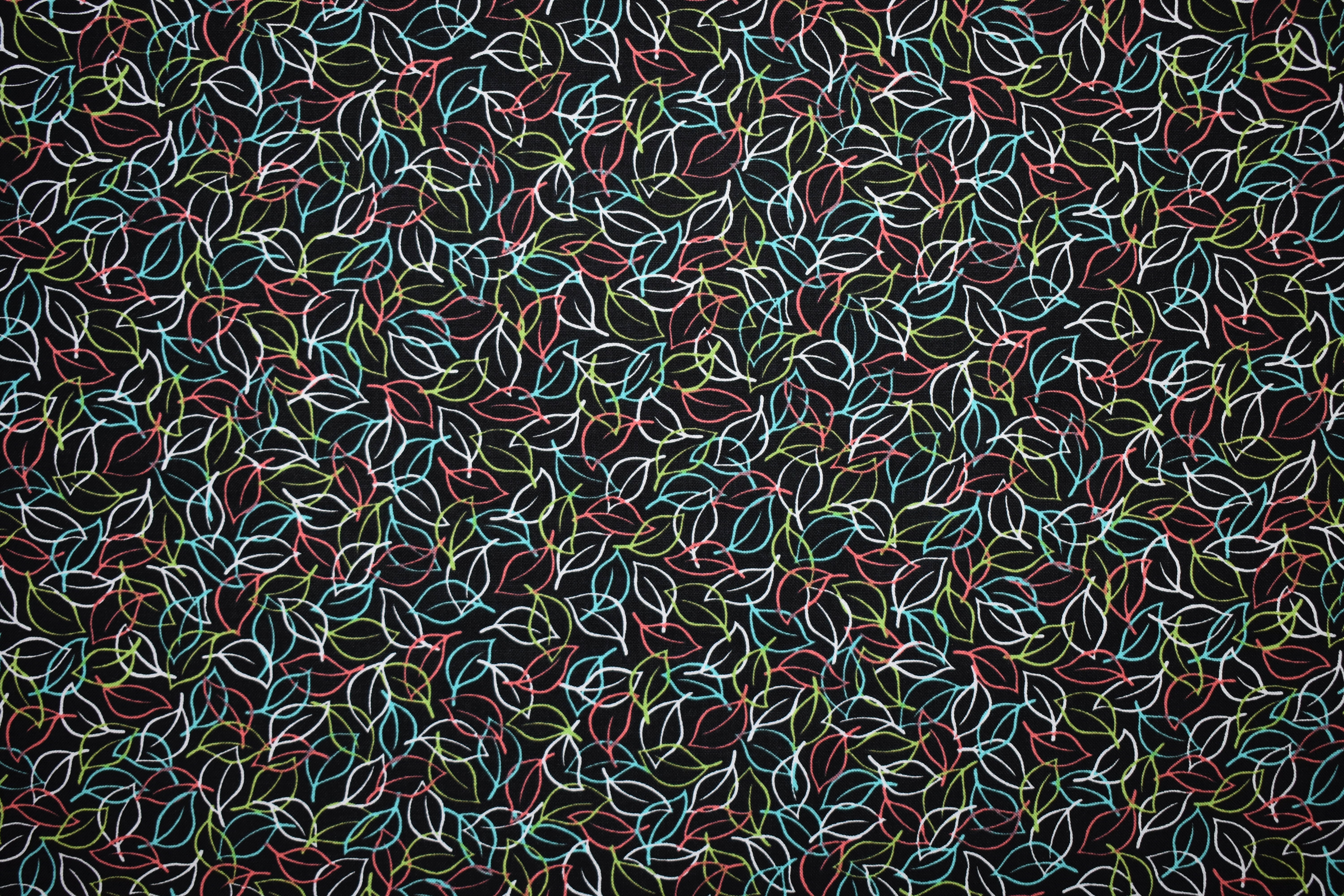 Not YR Garden Variet - Black with Colorful Leaves - Quilting Treasures 55011