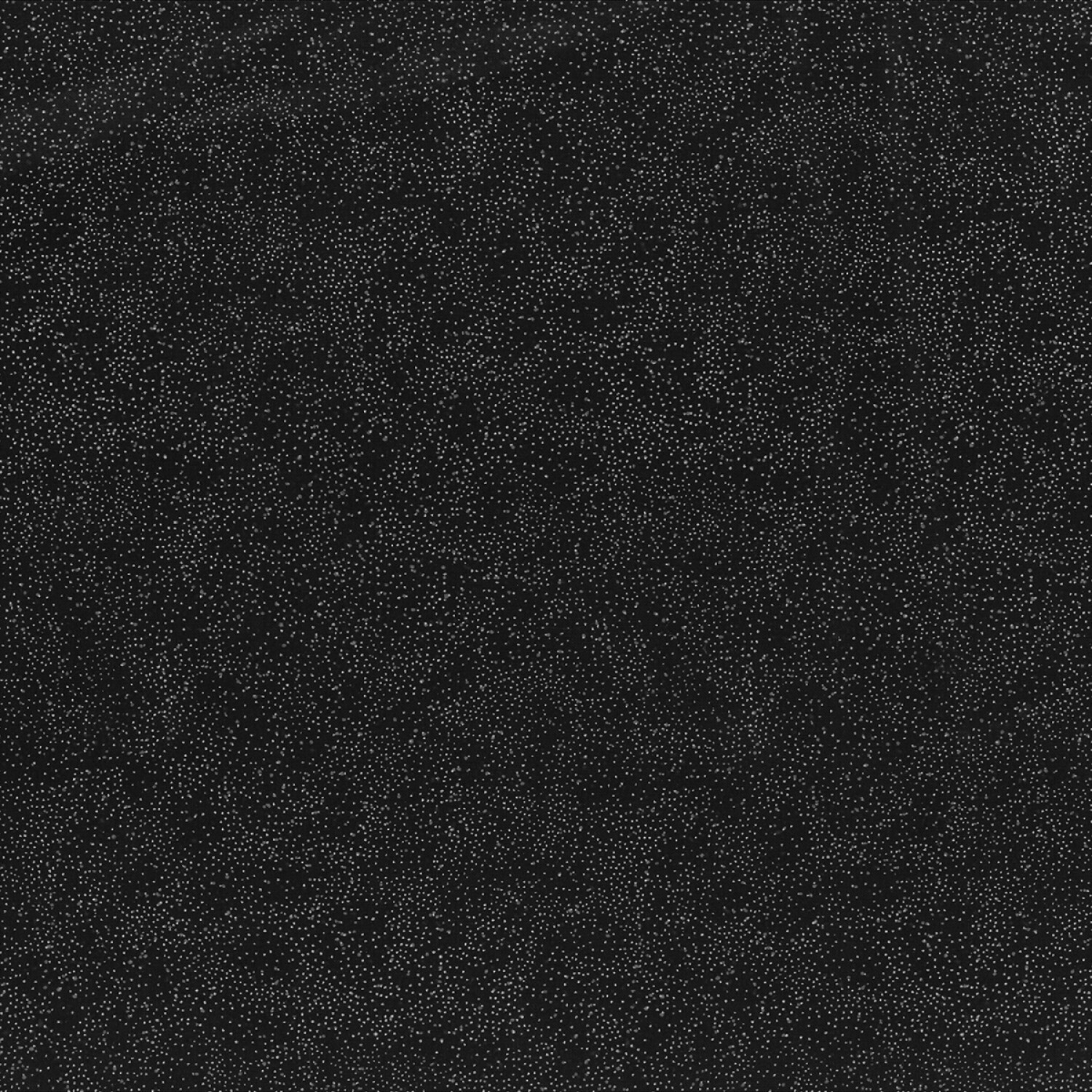 Poinsettia Song - Onyx with Silver - 1/2m cut 55426