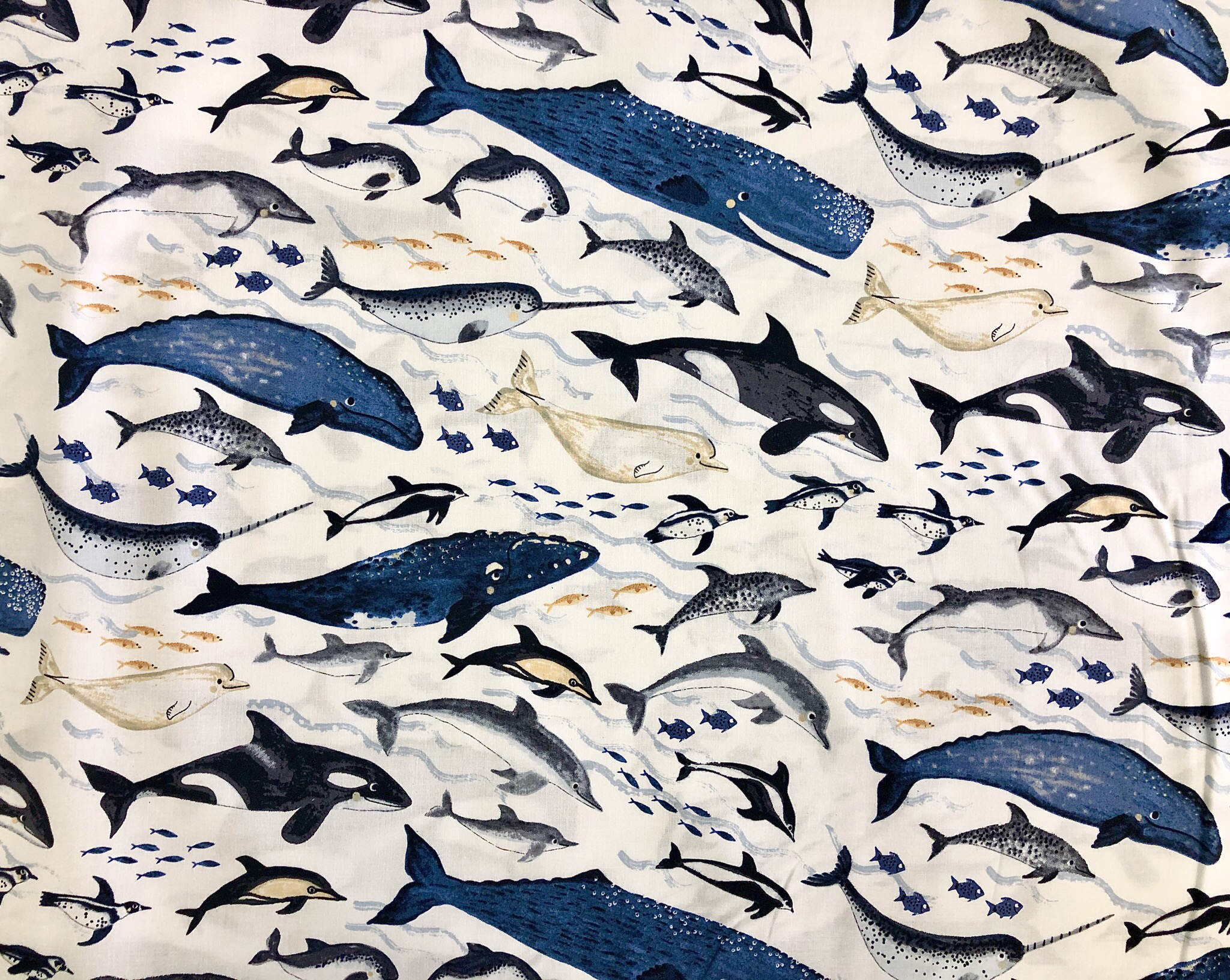 Ocean’s Away - 1/2m cut 55467