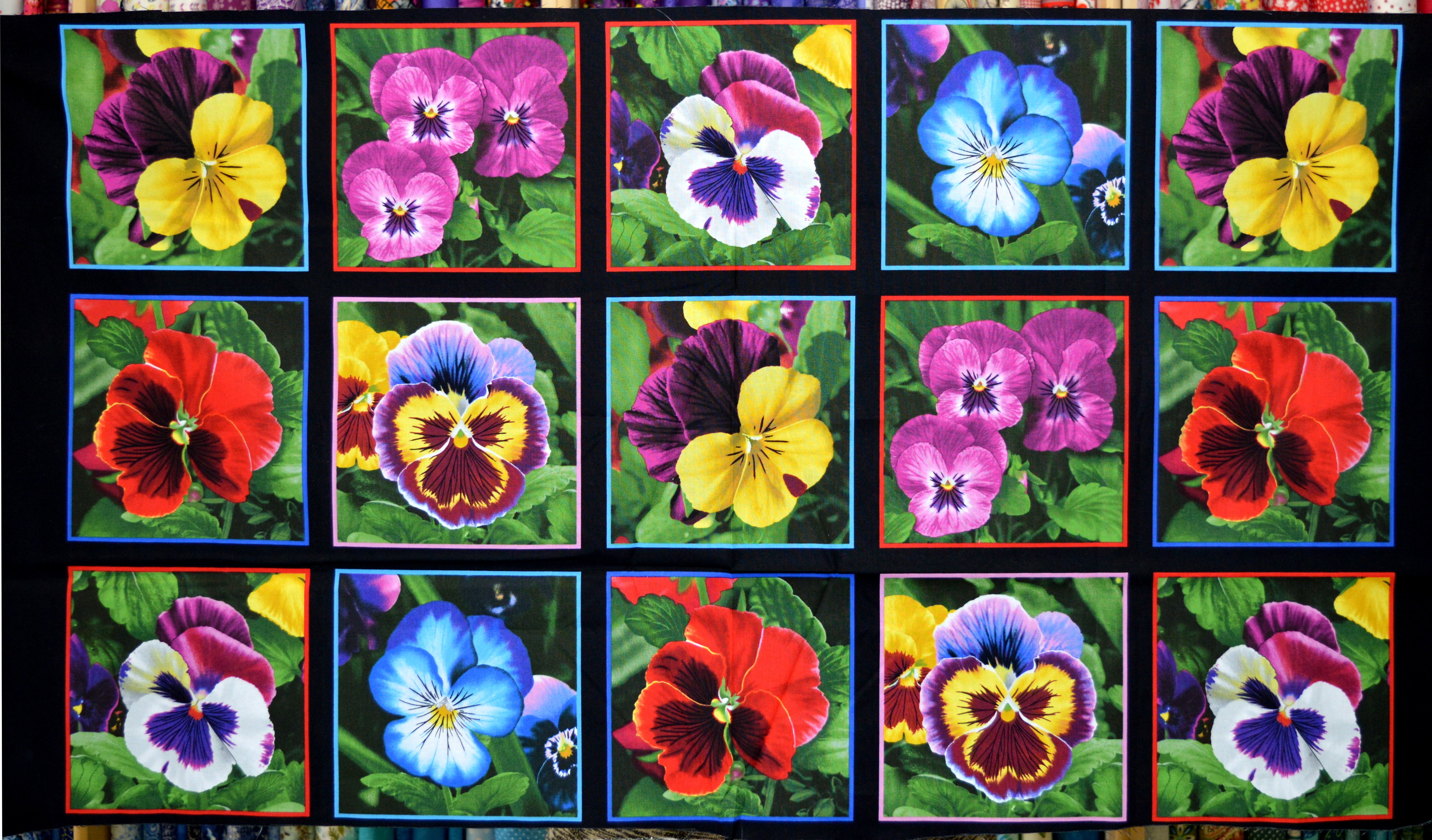 Pansy Persuasion Panel 6574