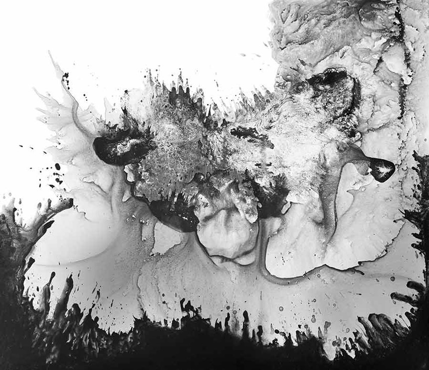 'Beast'  ☞ select print or hand finished options 01375