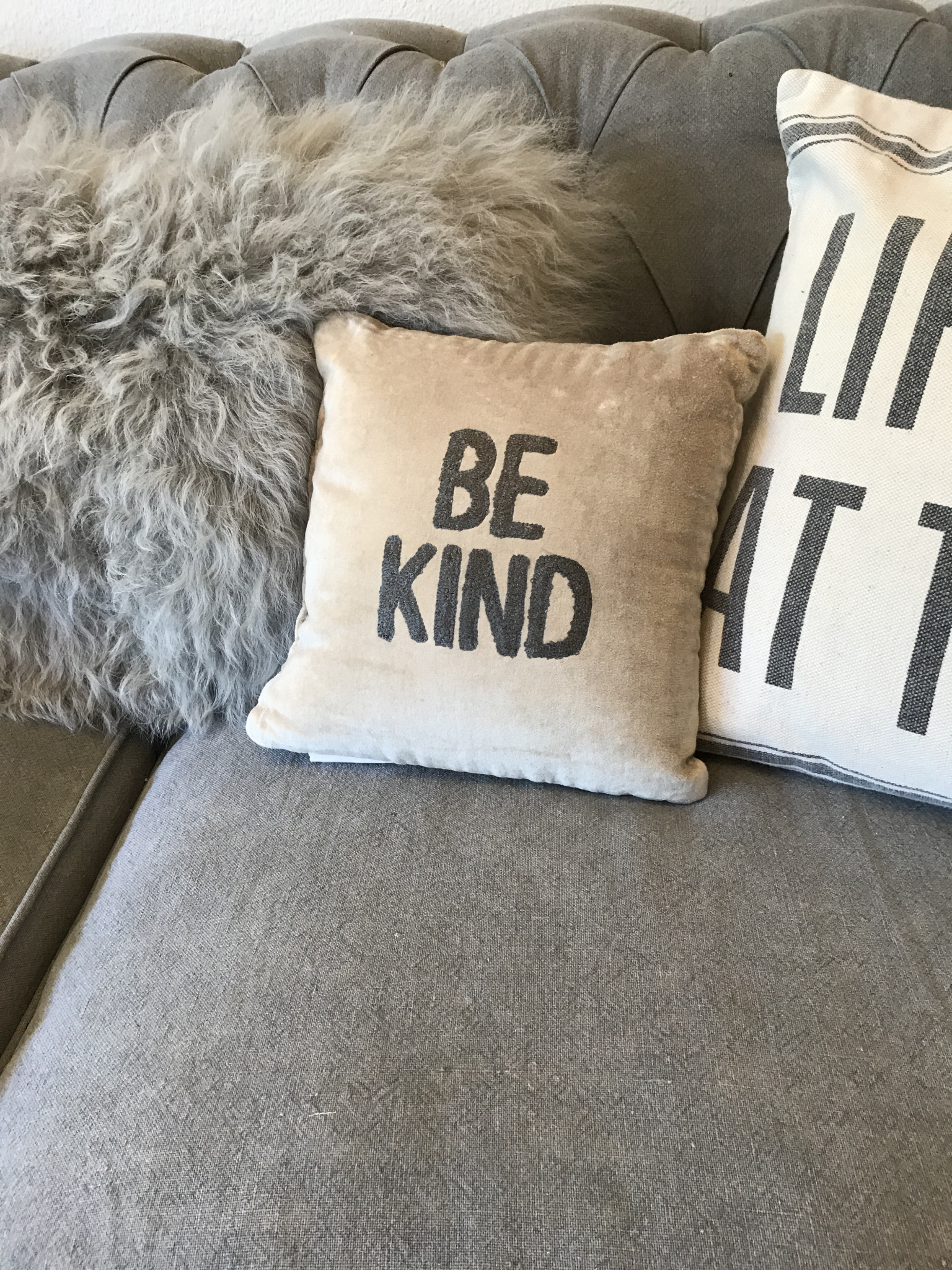 Velvet be kind pillow 36853