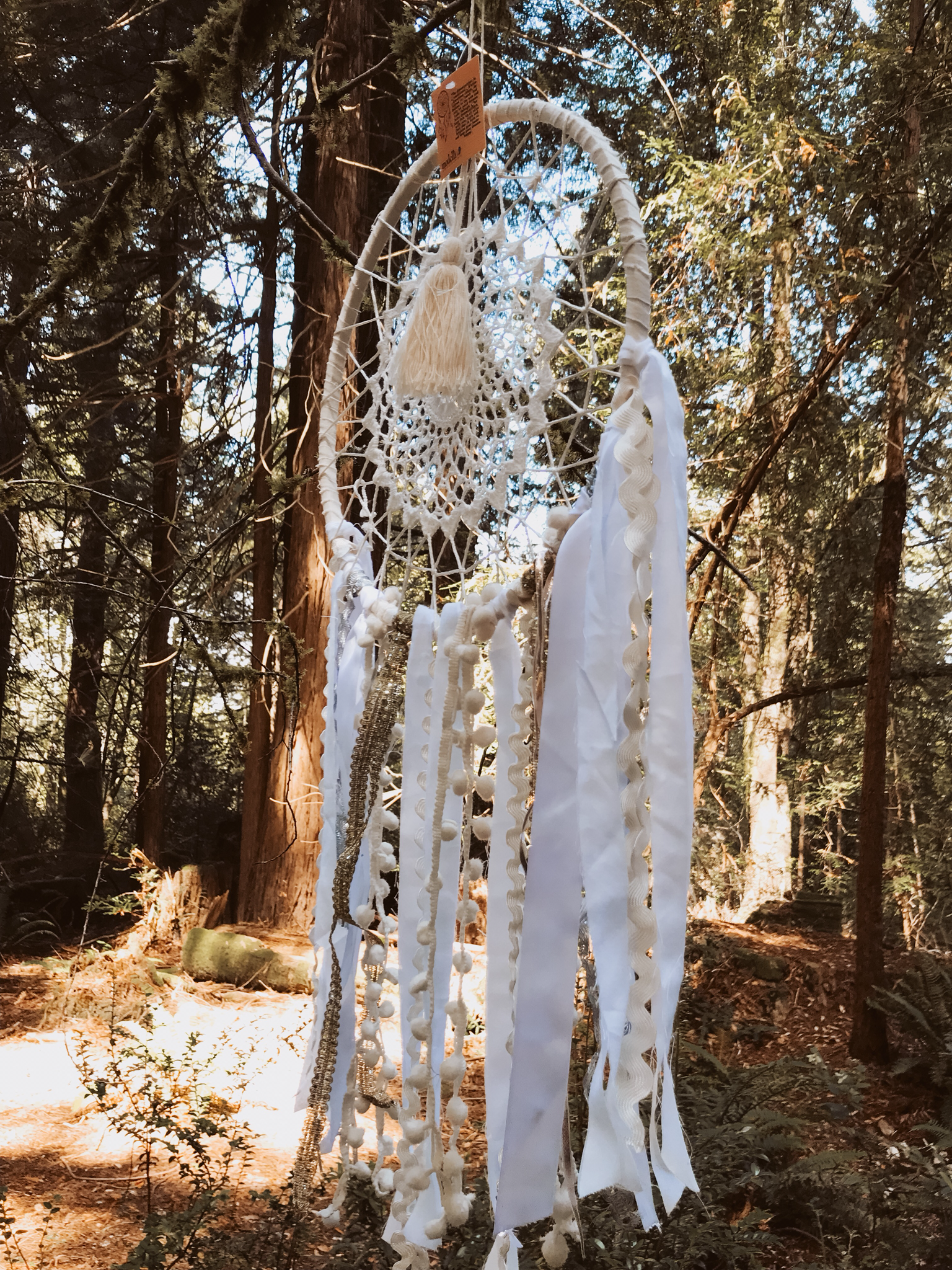 Dream Catcher