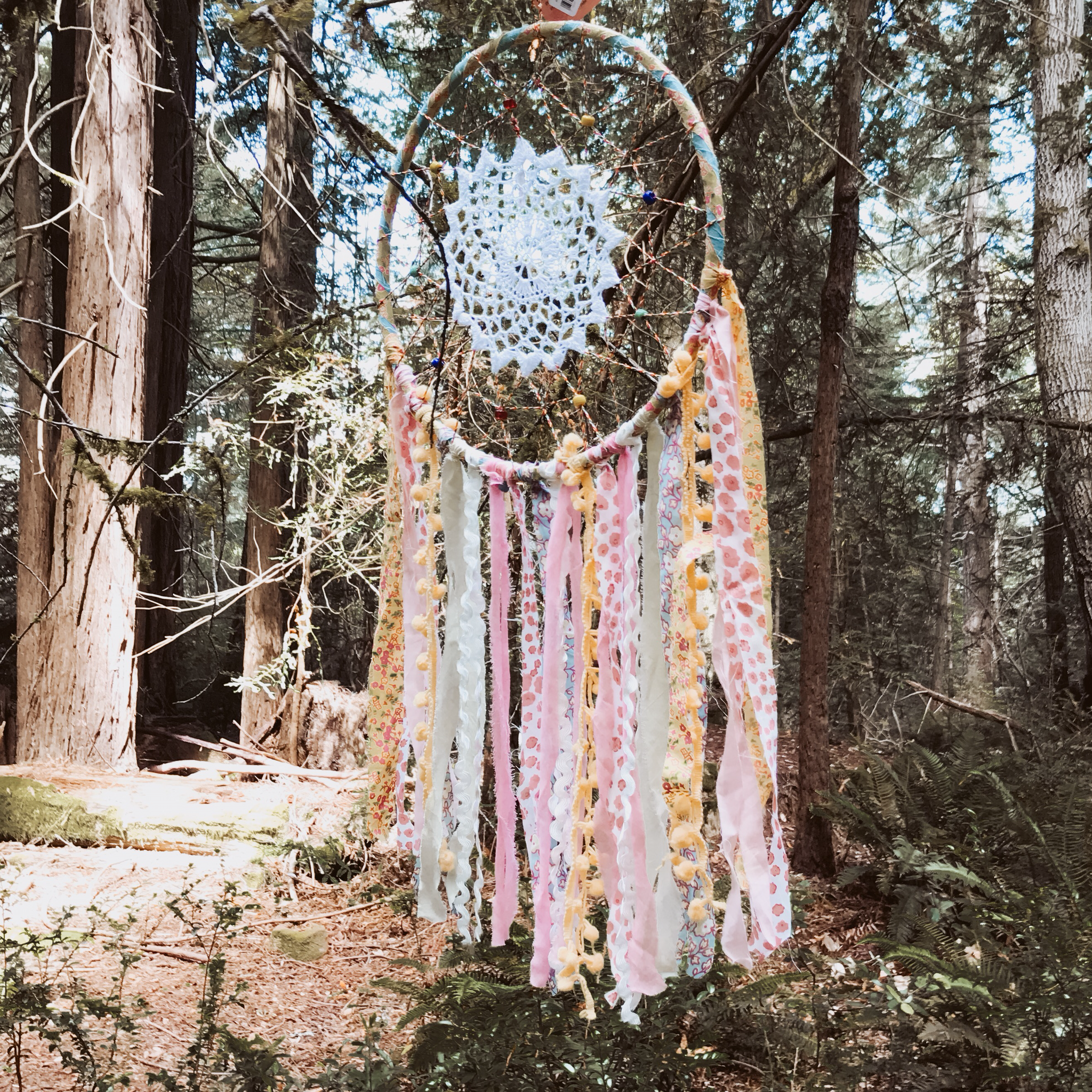 Dream Catcher