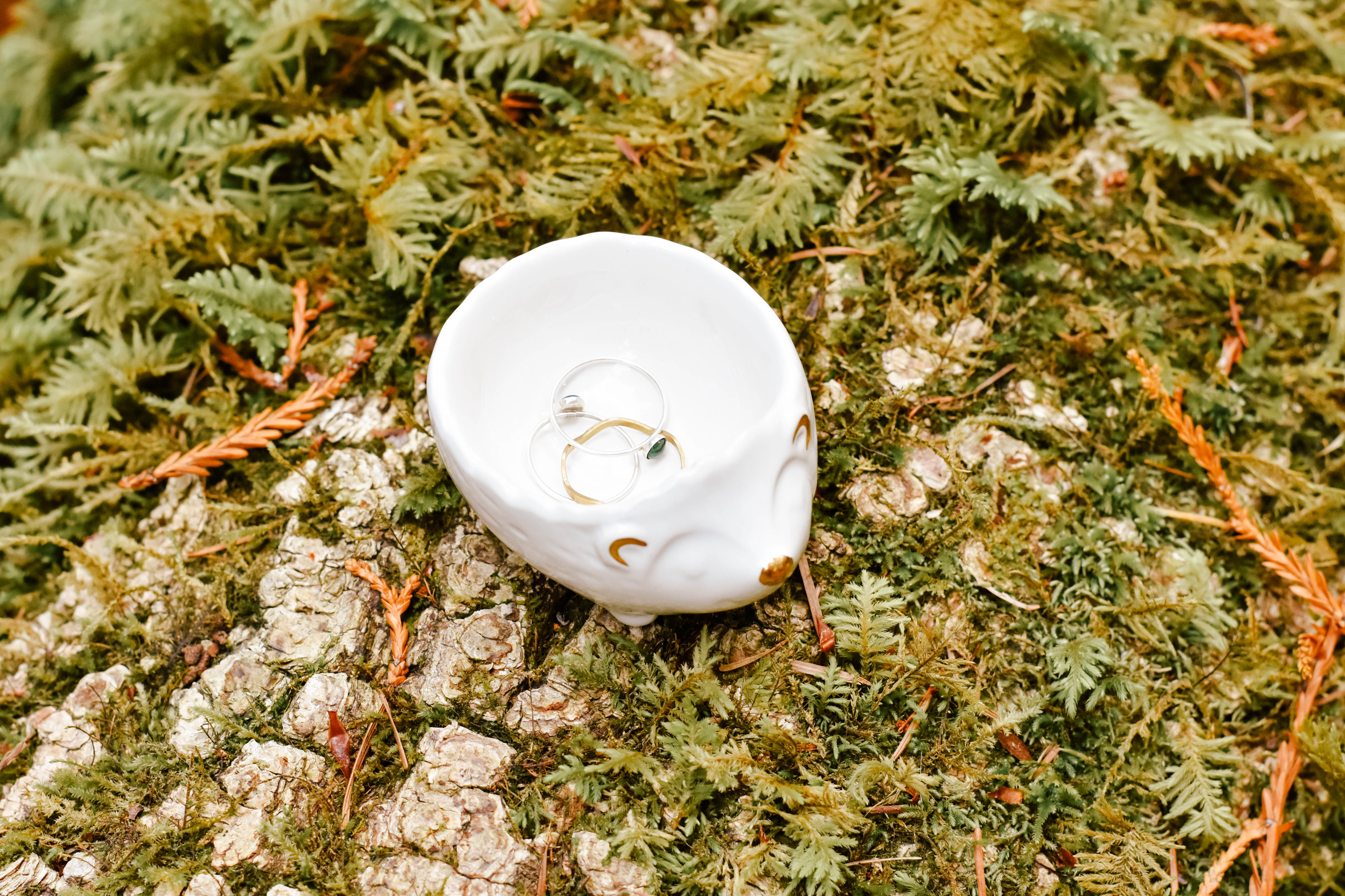 Hedgehog dish da9681