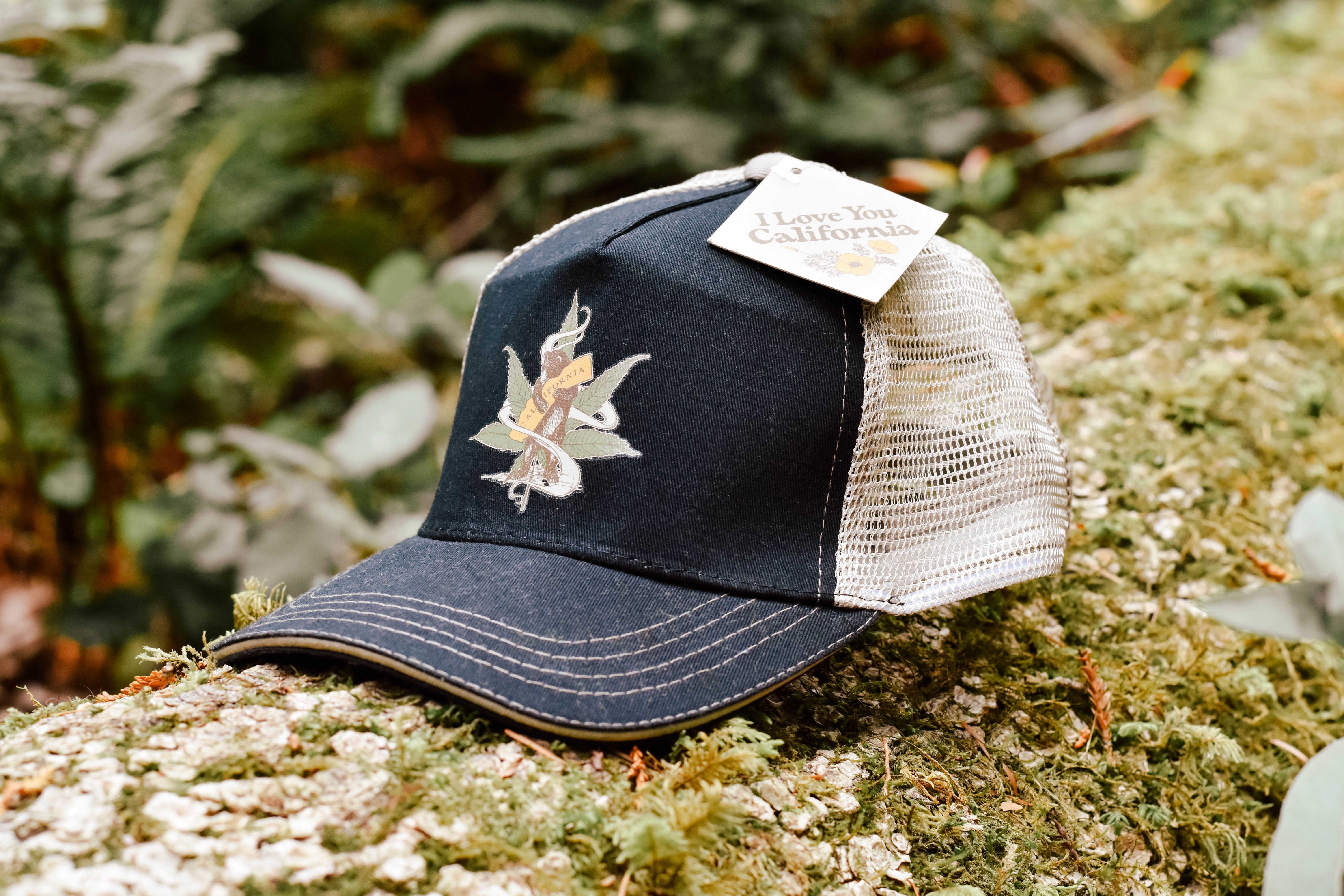 Cannabis Bear Trucker 2Z40WKSACAS1M