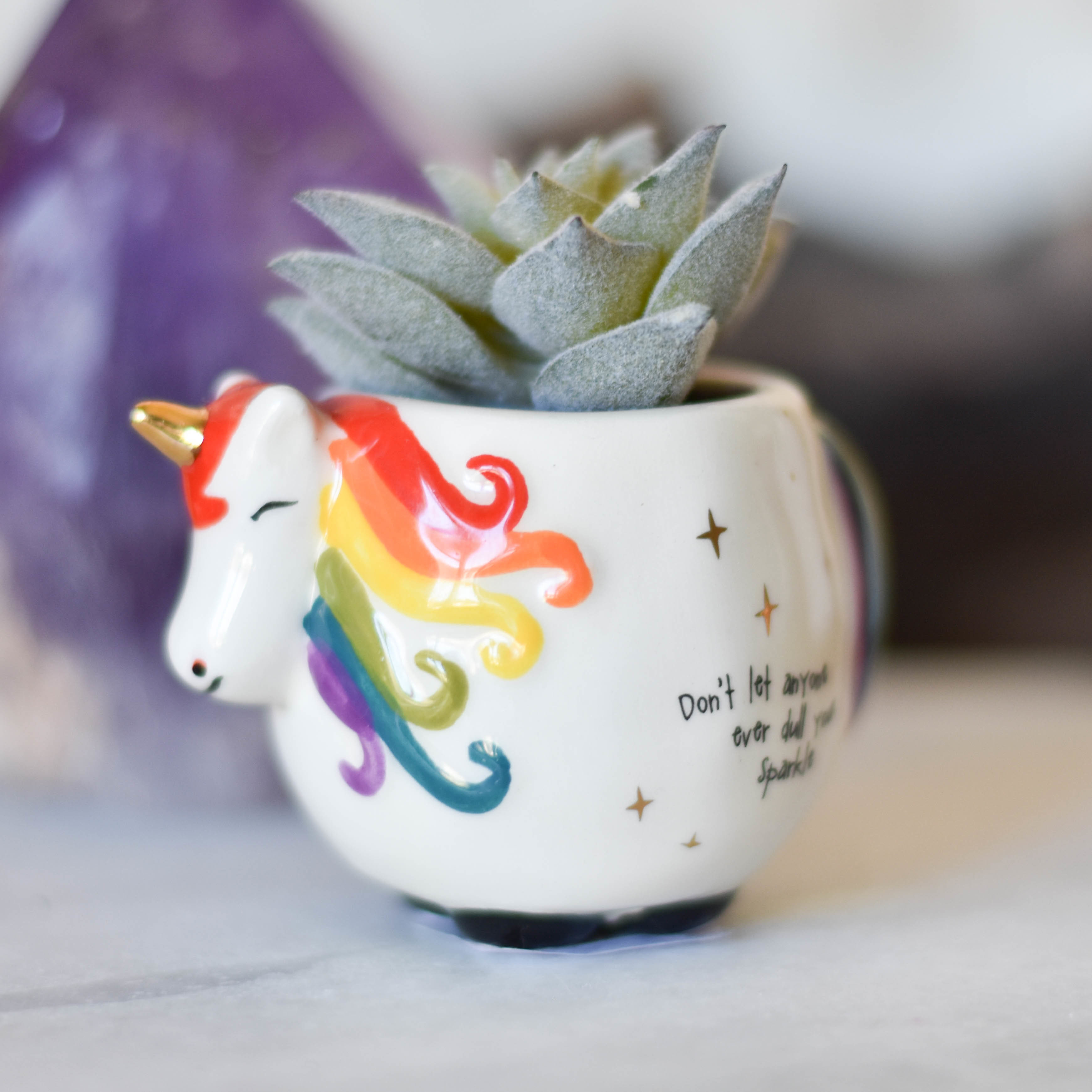 Critter Succulent Plnt038 WHVVH2ZJ5HW4A