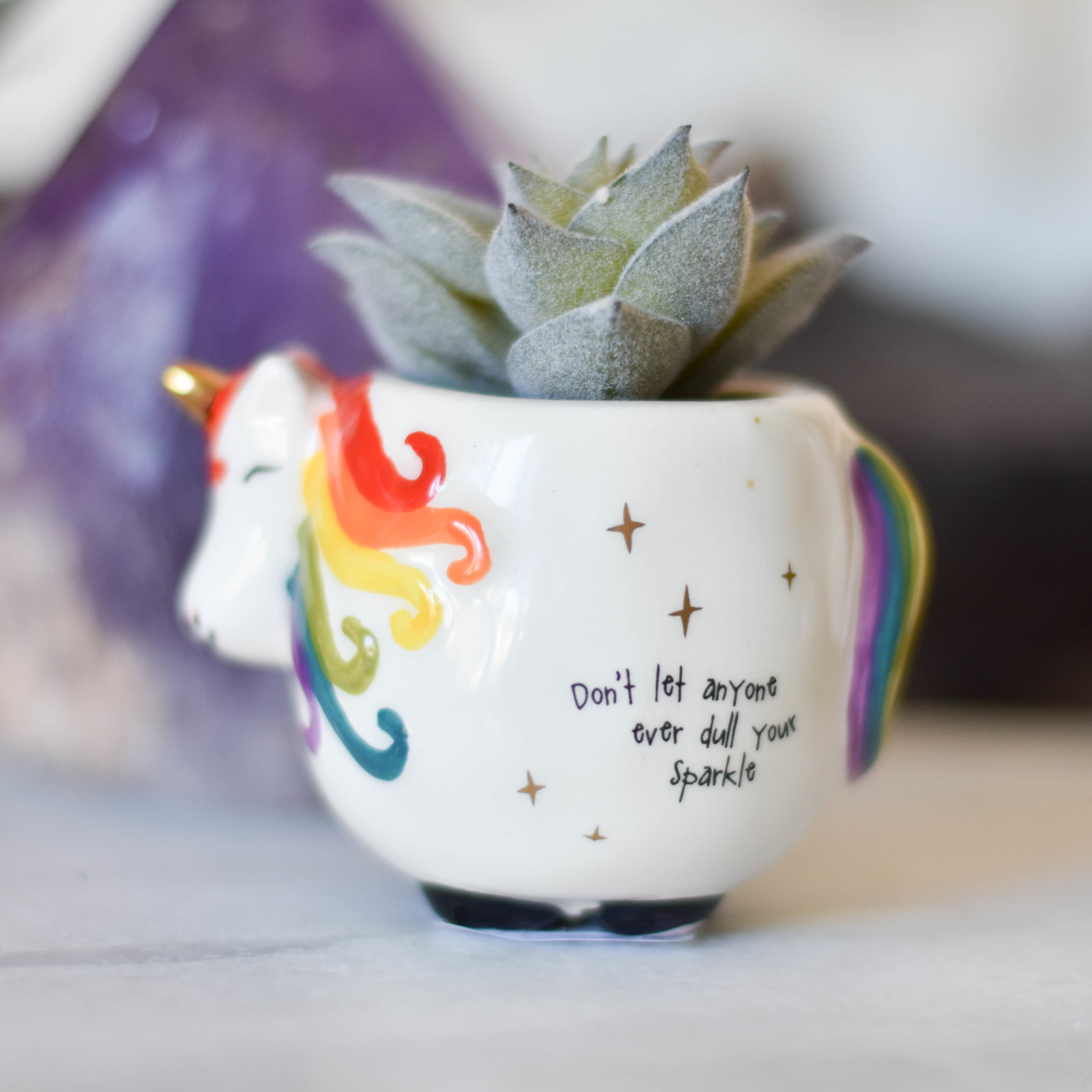 Critter Succulent Plnt038