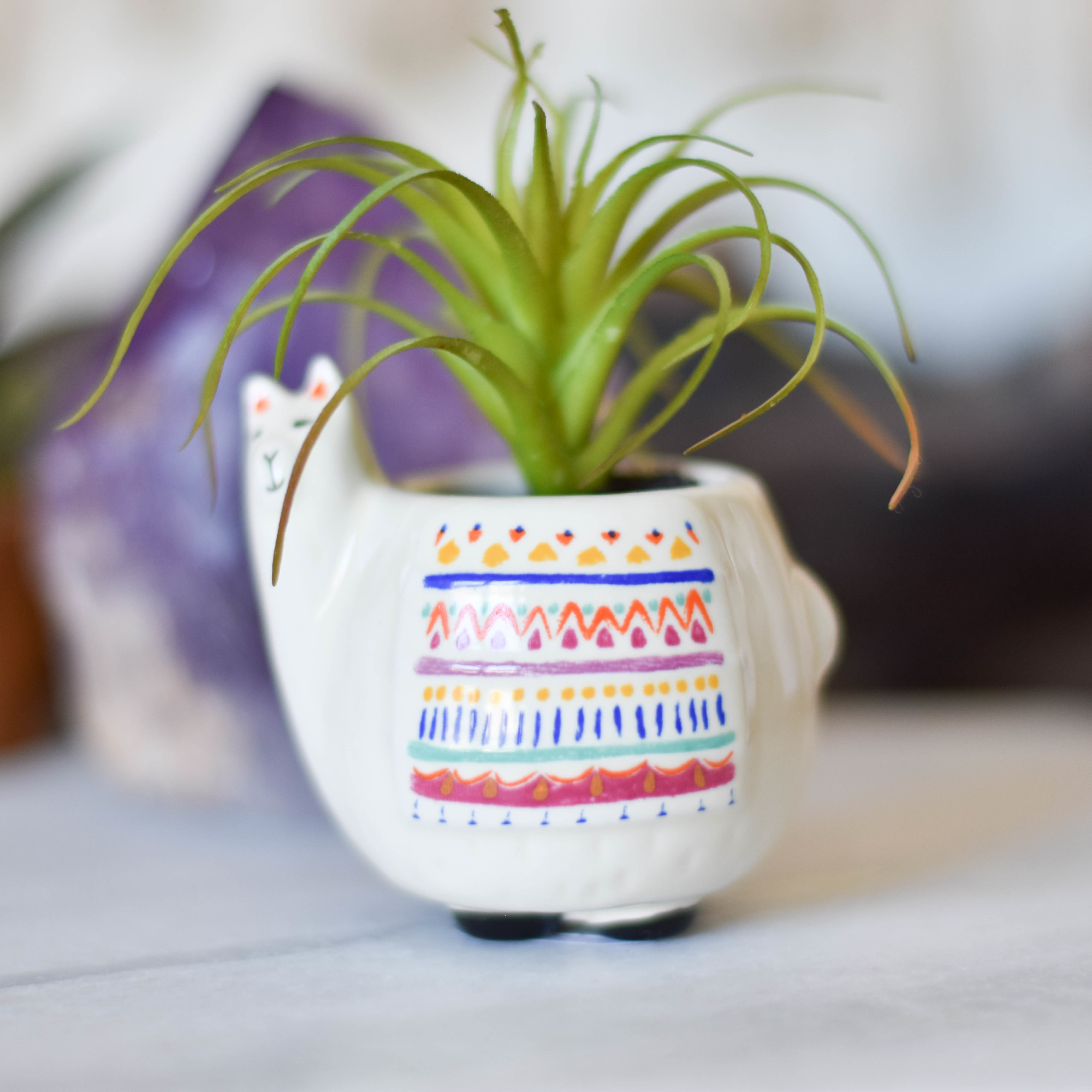 Critter Succulent LLama PLNT036