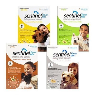 Sentinel Heartworm Prevention
