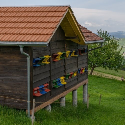 Emmentaler Bio in Umstellung Waldhonig