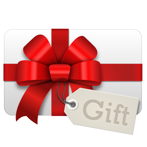 Gift Certificate - Eurofox aircraft Flying experience with HD Video 00007