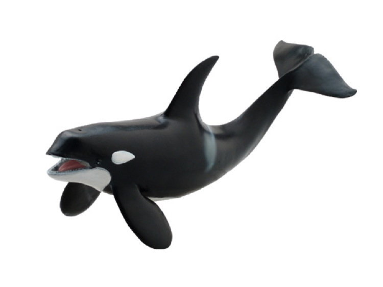 soft toy orca