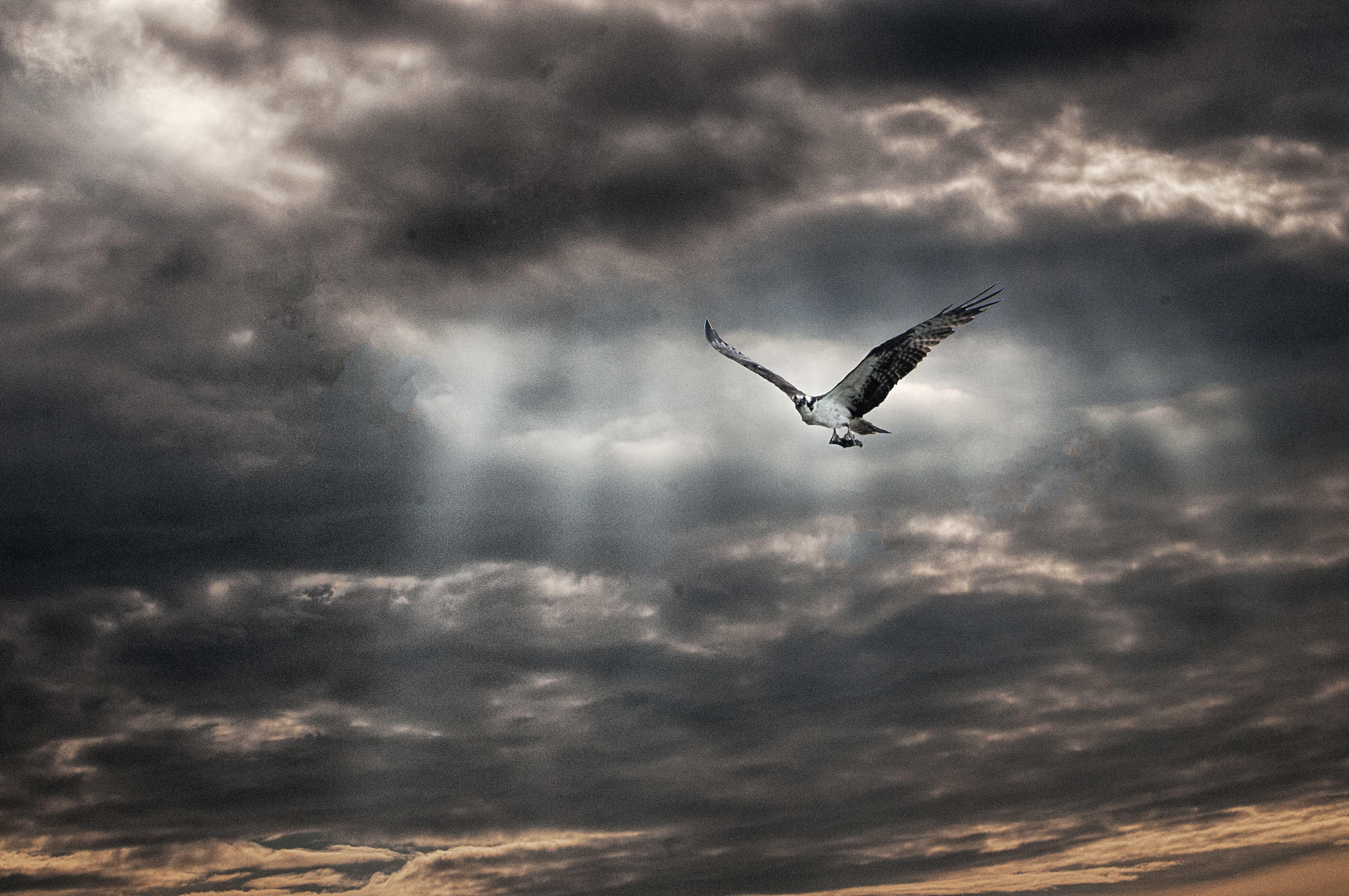 Clearing Storm 001-107