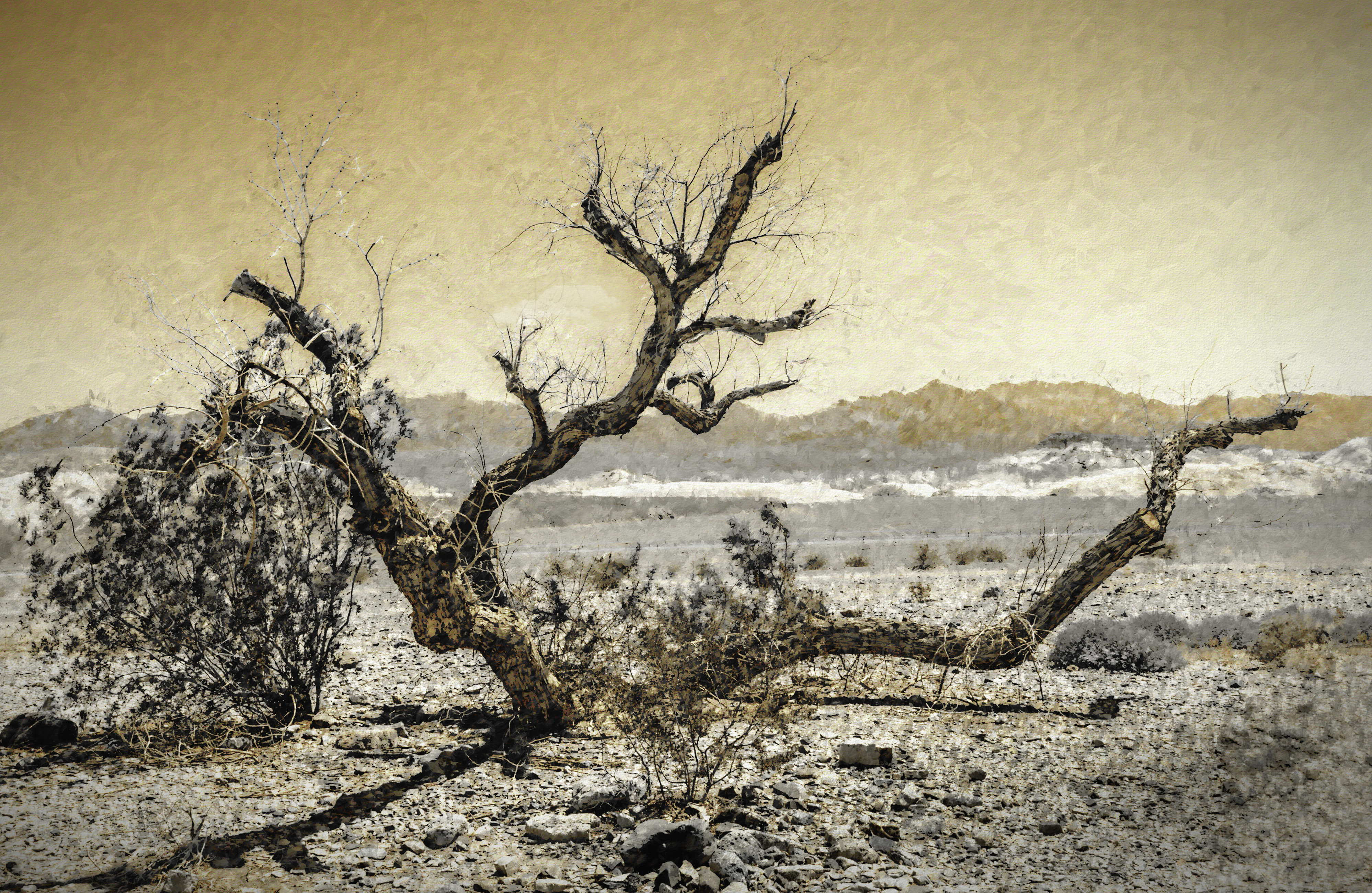Death Valley 125 Degrees 004-100