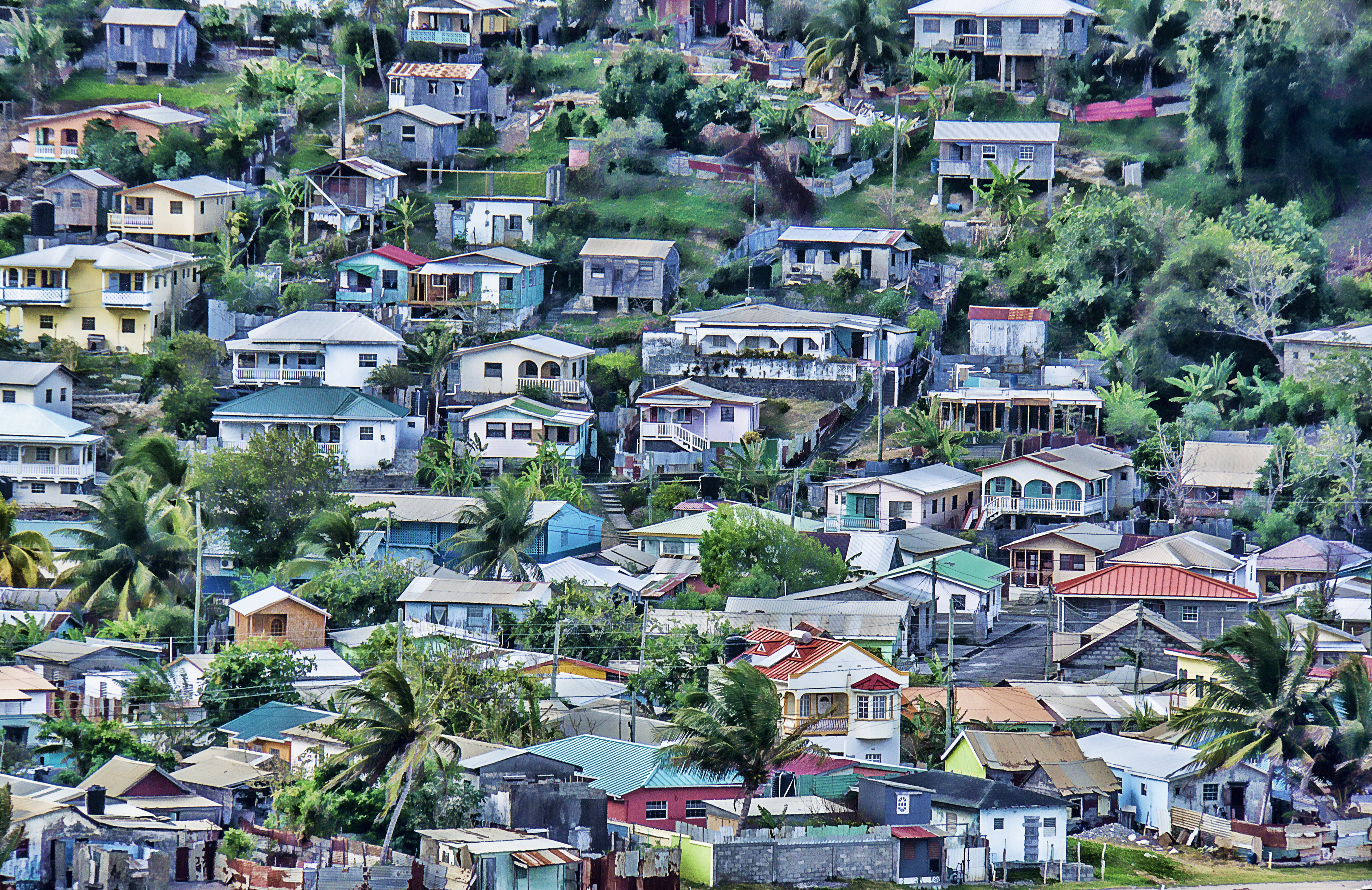 Caribbean - St. Lucia Hill Side 103