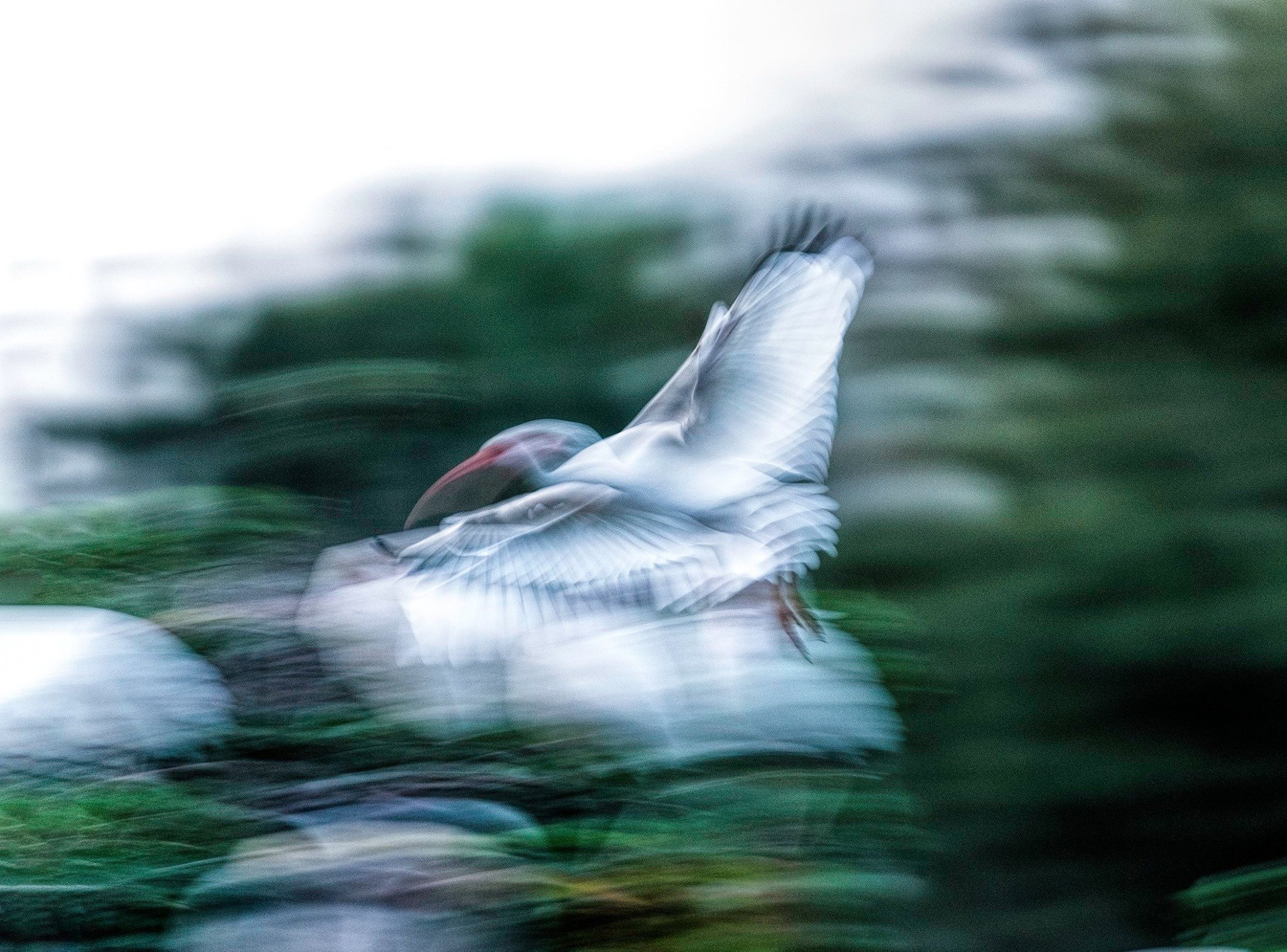 Egret Flight 001-105