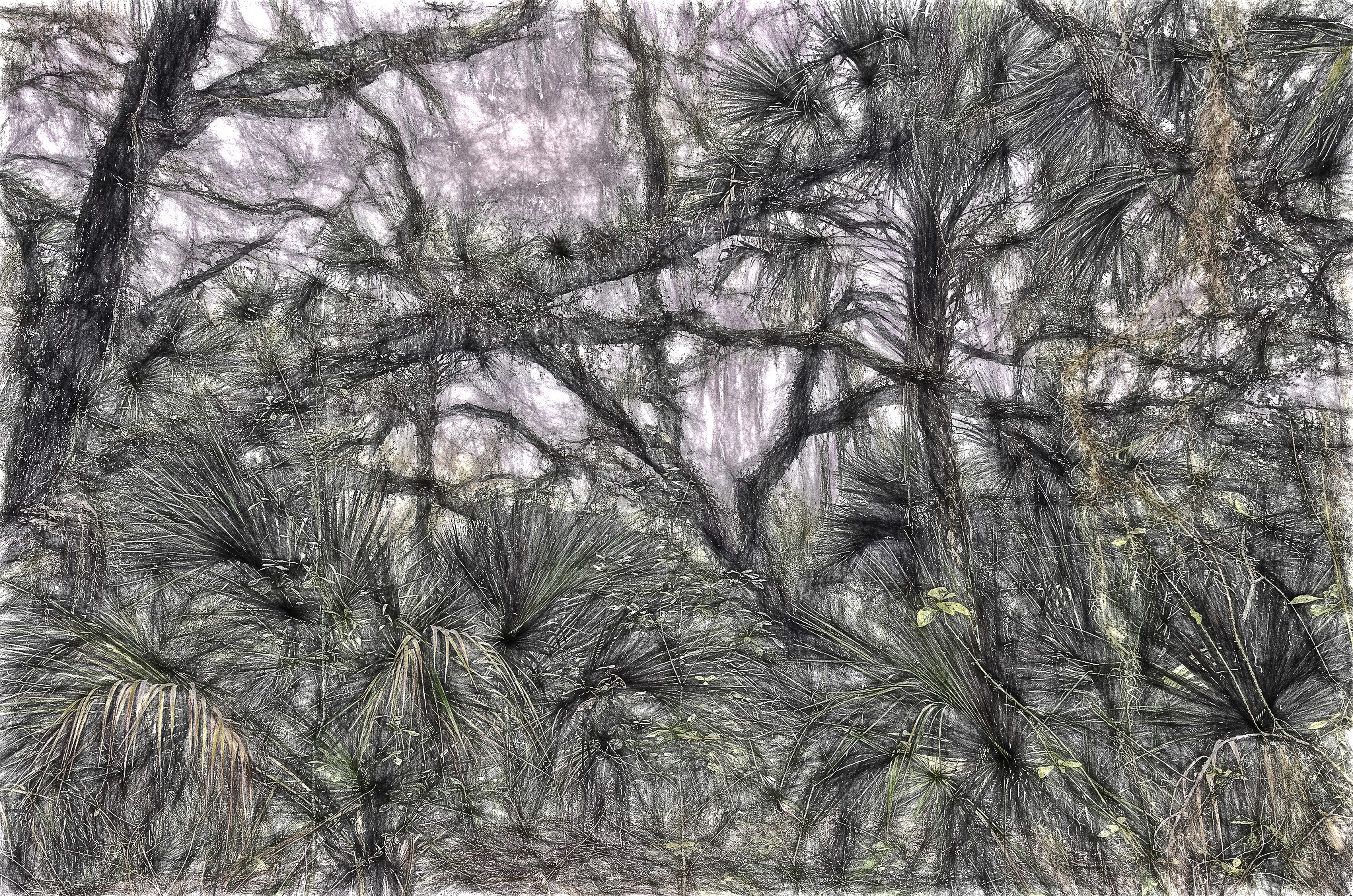 Florida Flora 004-102