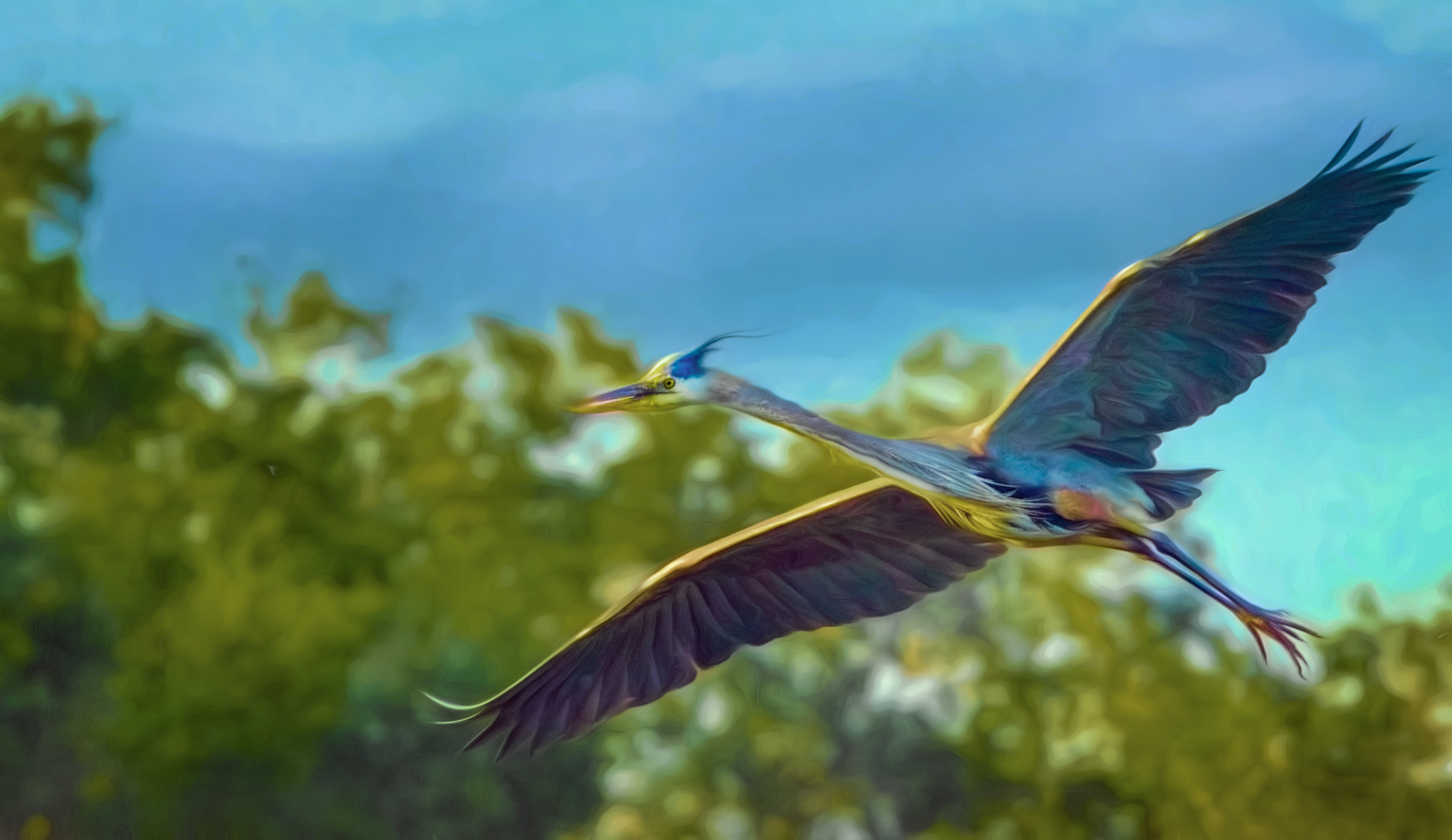 Flying Dino 001-109