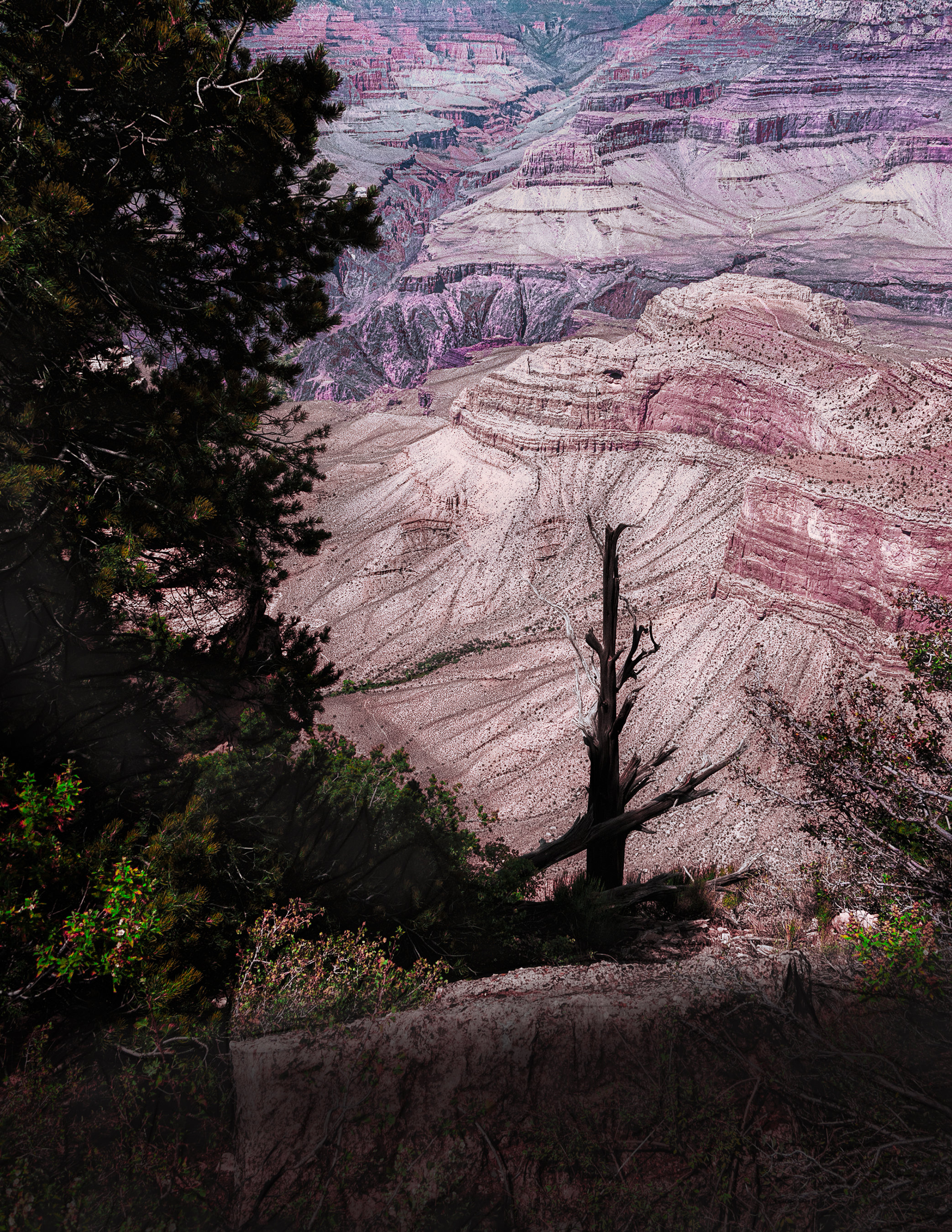 Grand Canyon Shadows 003-117