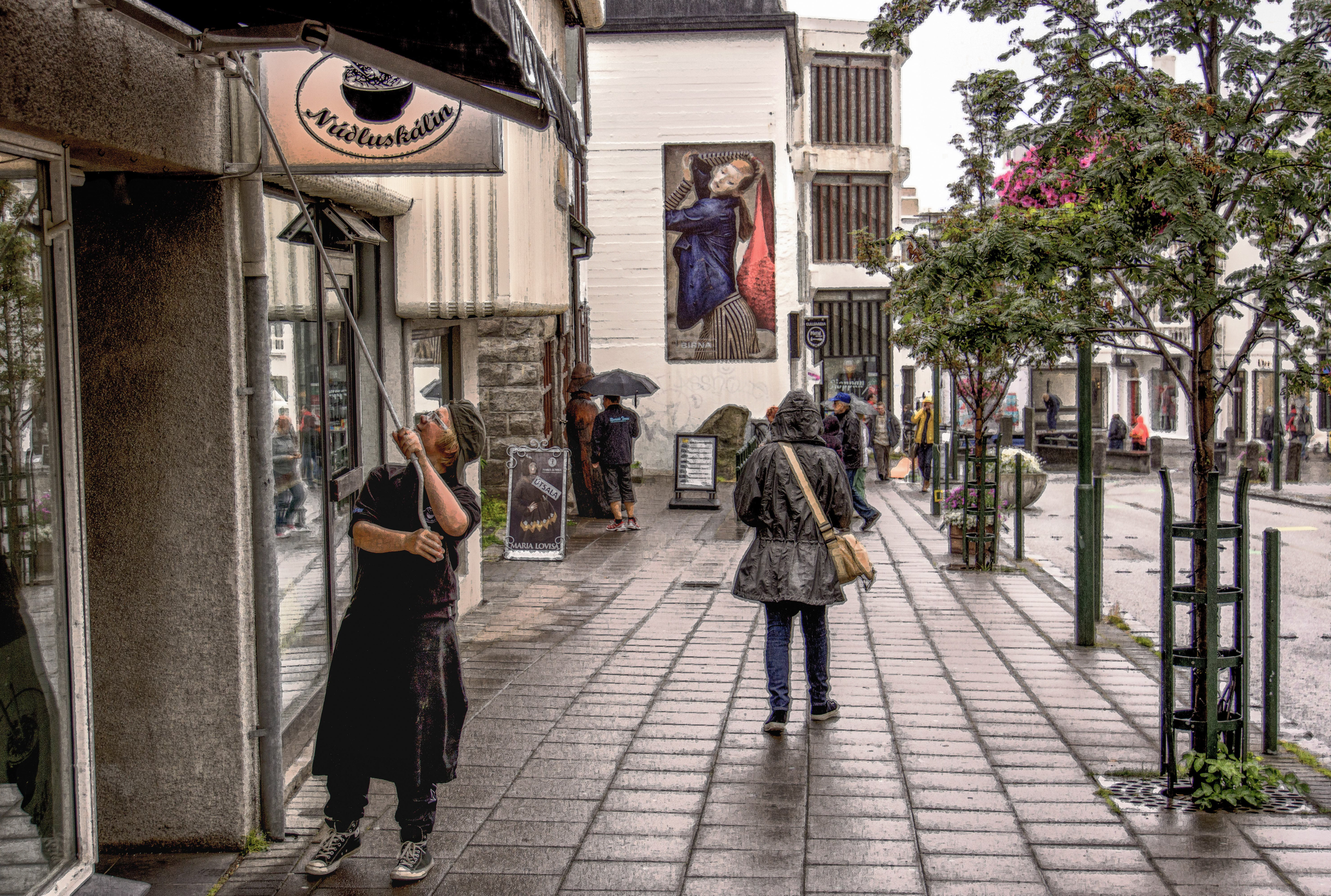 Iceland - Reykjavik Market Street 003-120