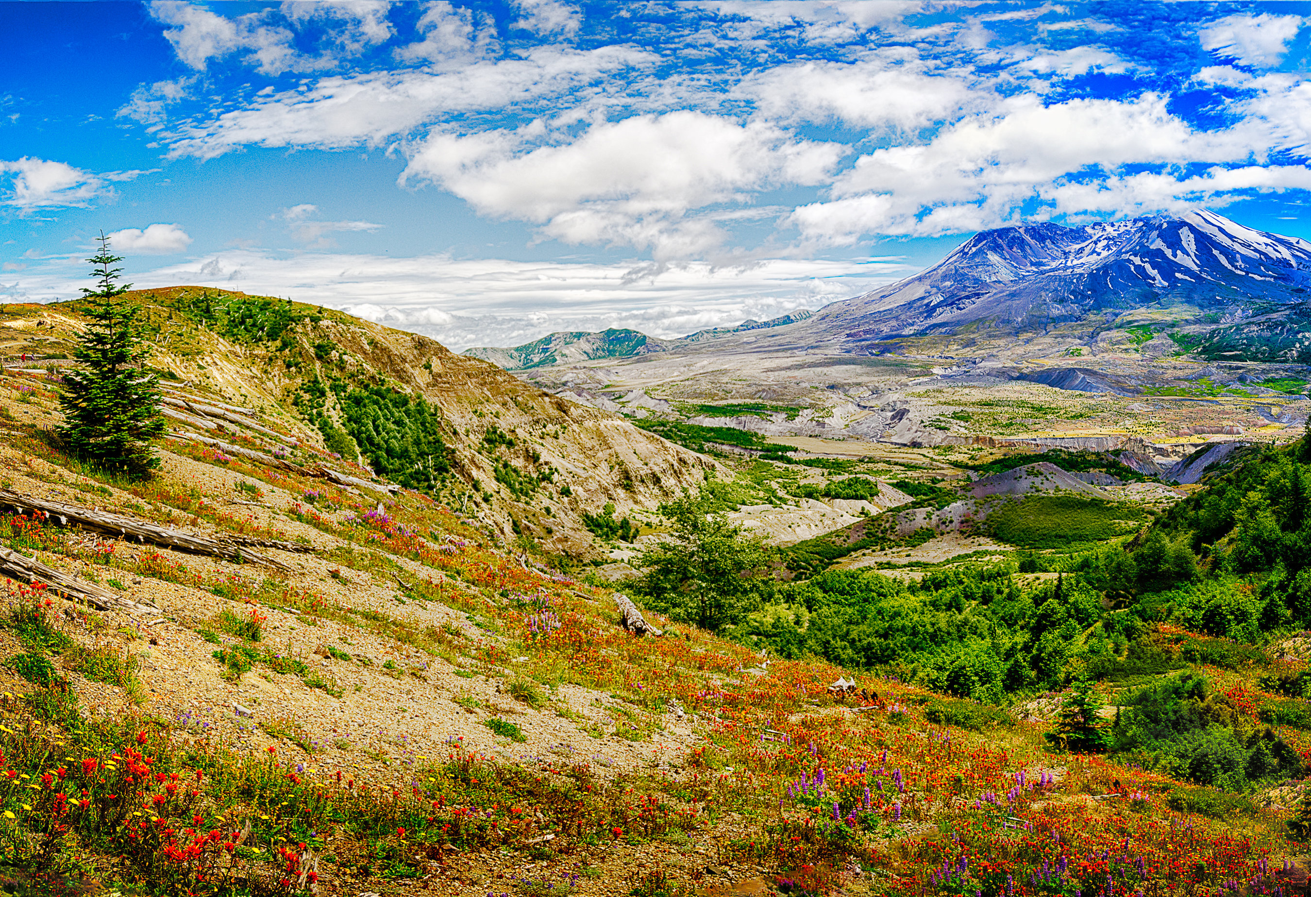 Mount St. Helens 004-110