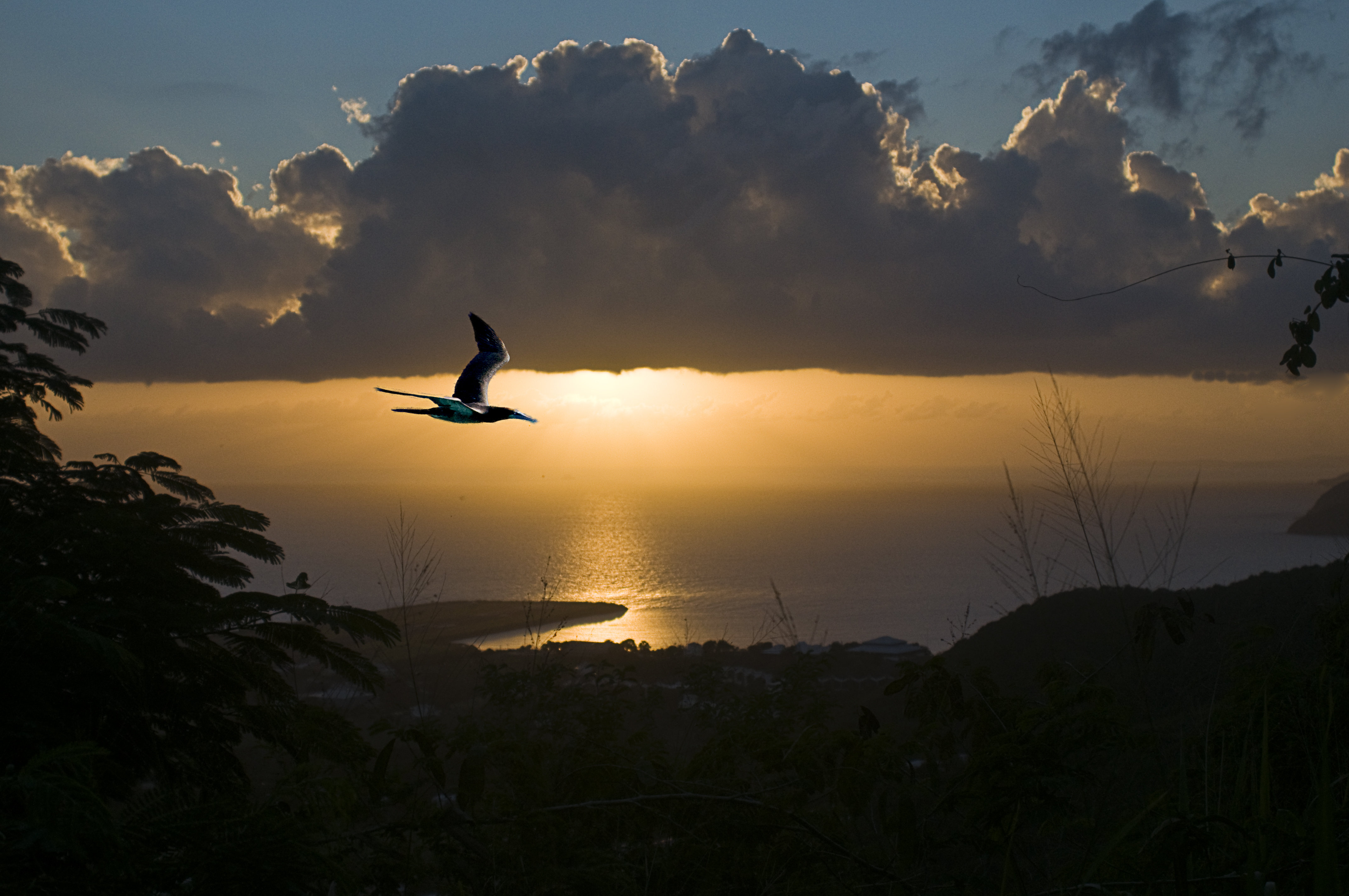 St. Thomas - Sunset 003-139