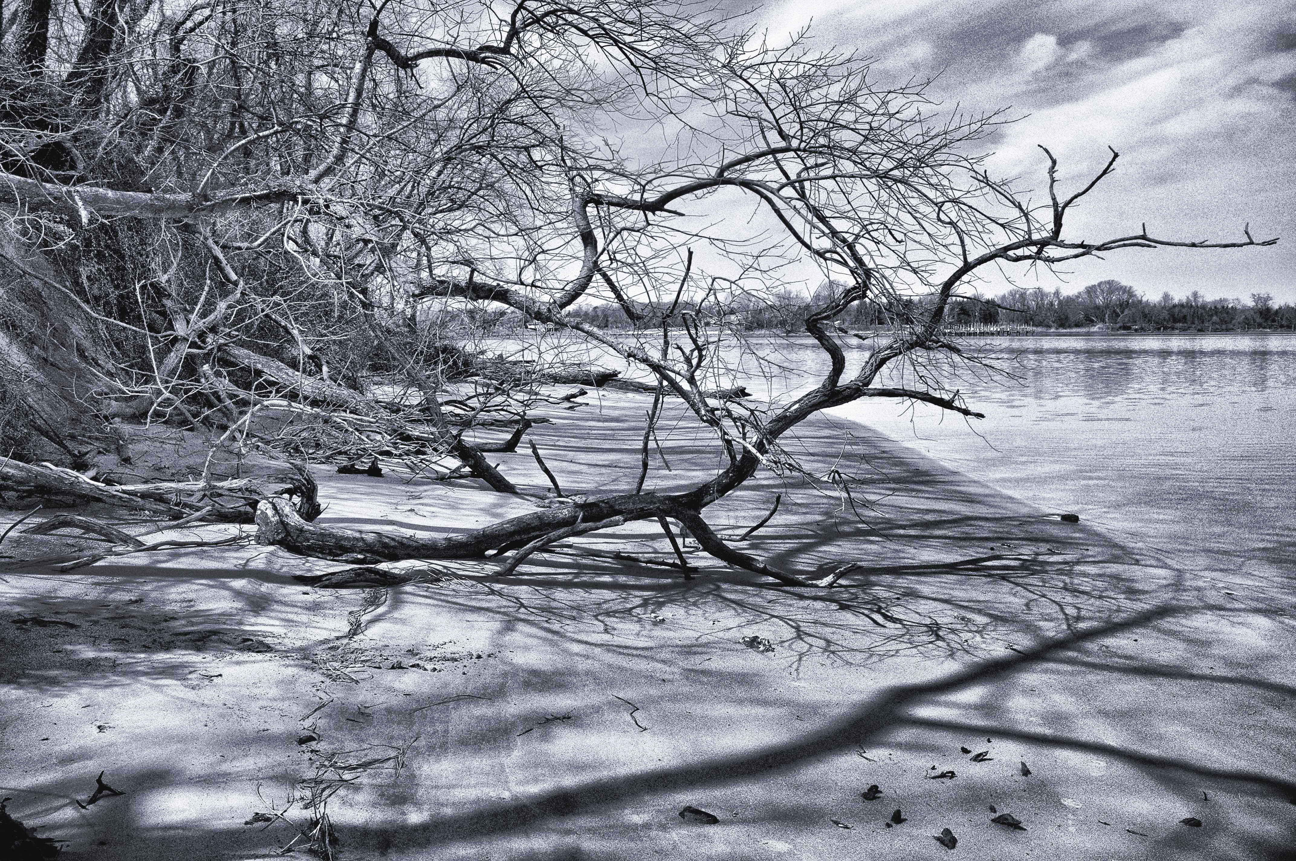 Wye River Md. 004-114