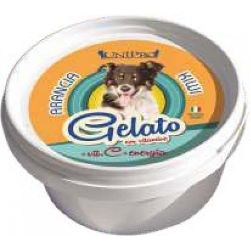 Gelato is til hund - Orange/Kiwi Gelato is til hund - Orange/Kiwi