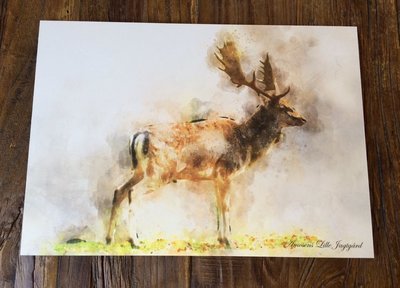 Watercolor billede med dåhjort Watercolor billede med dåhjort