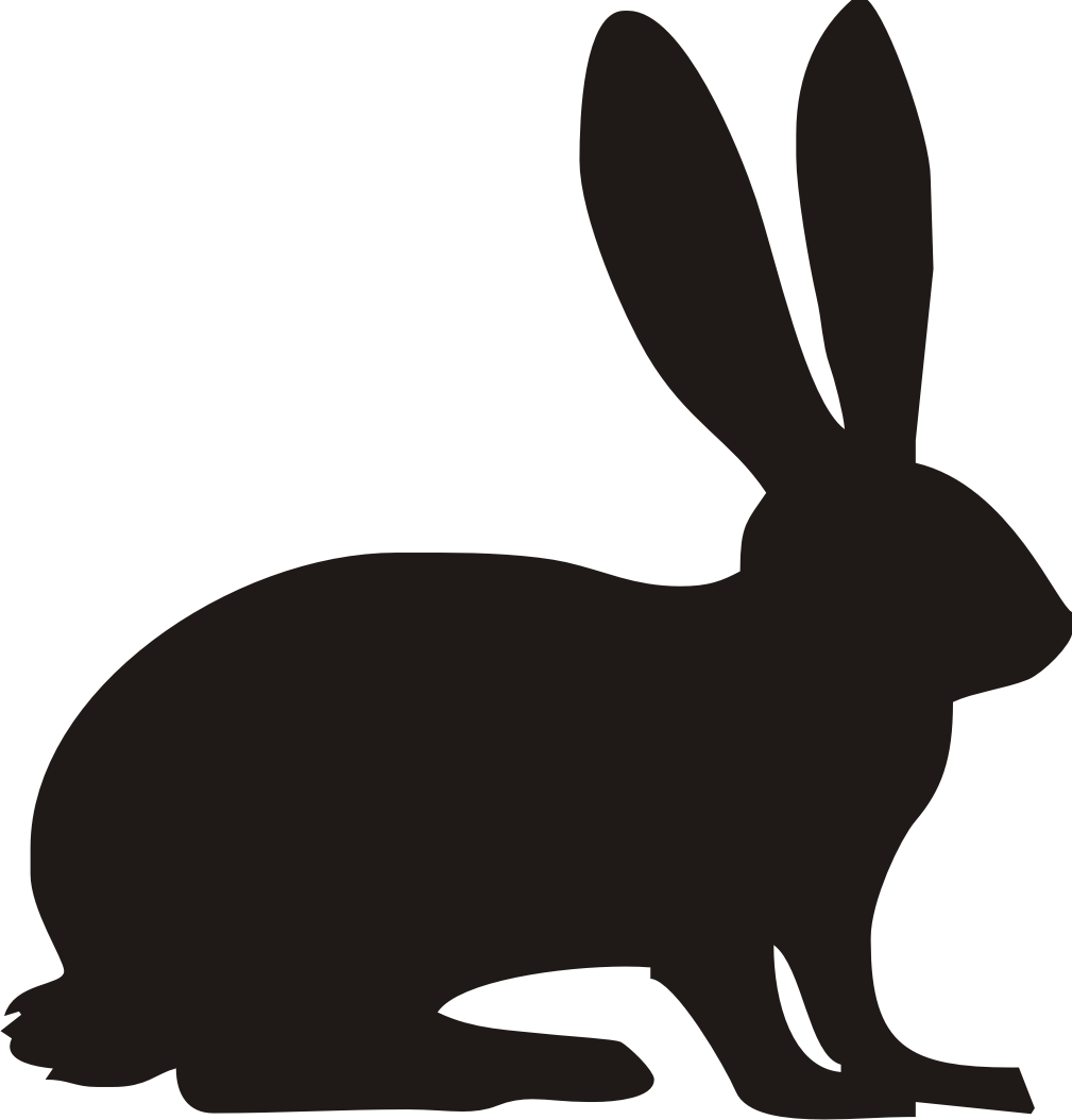 Черный кролик рисунок