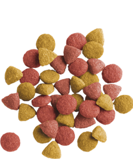Lara steriliseret kattefoder 10 kg.